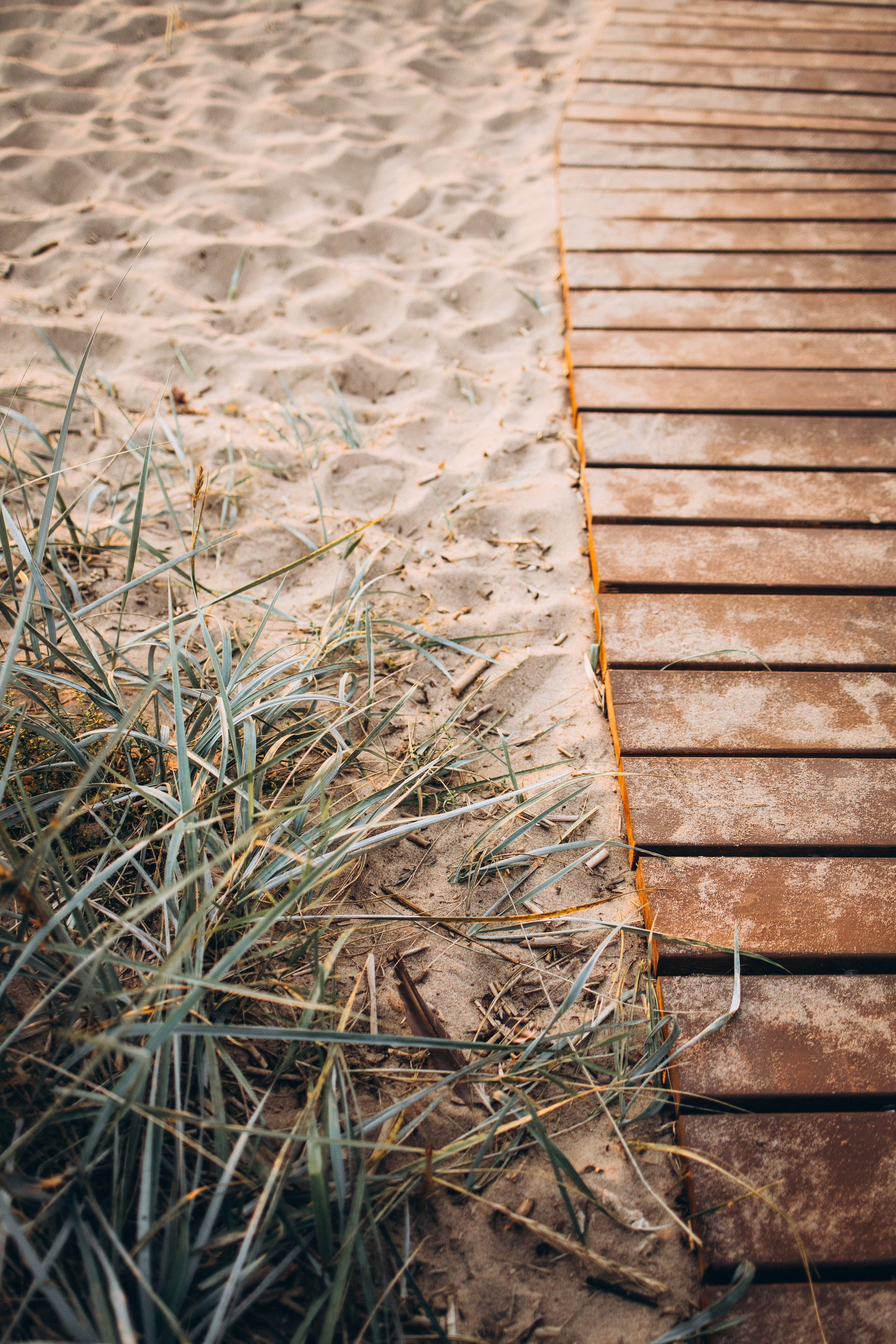 Катрин. Семейный и детский фотограф в Санкт-Петербурге — Лаврова Ольга