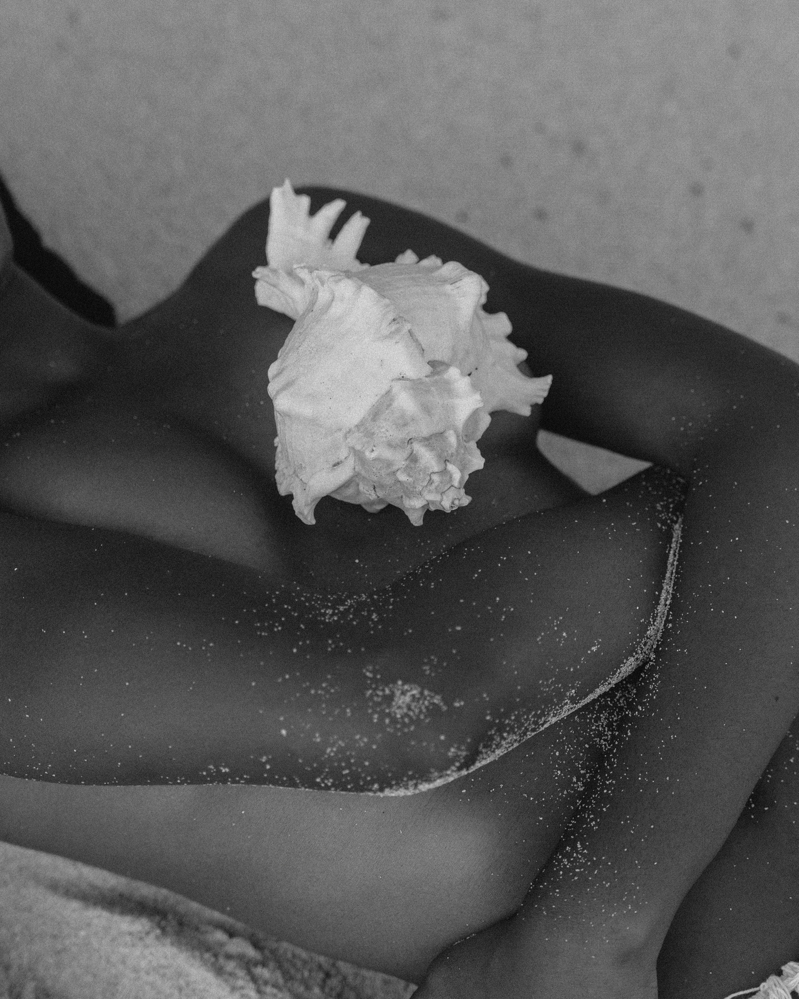 Лаурис. Фотограф Alena Ray