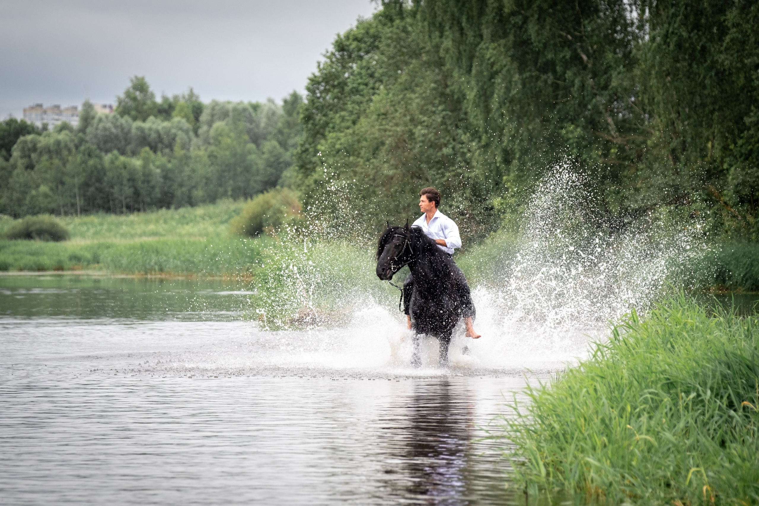 Аванпост, конное ранчо. Зоофотограф, фотограф животных в Москве и области Дина Дамоцева