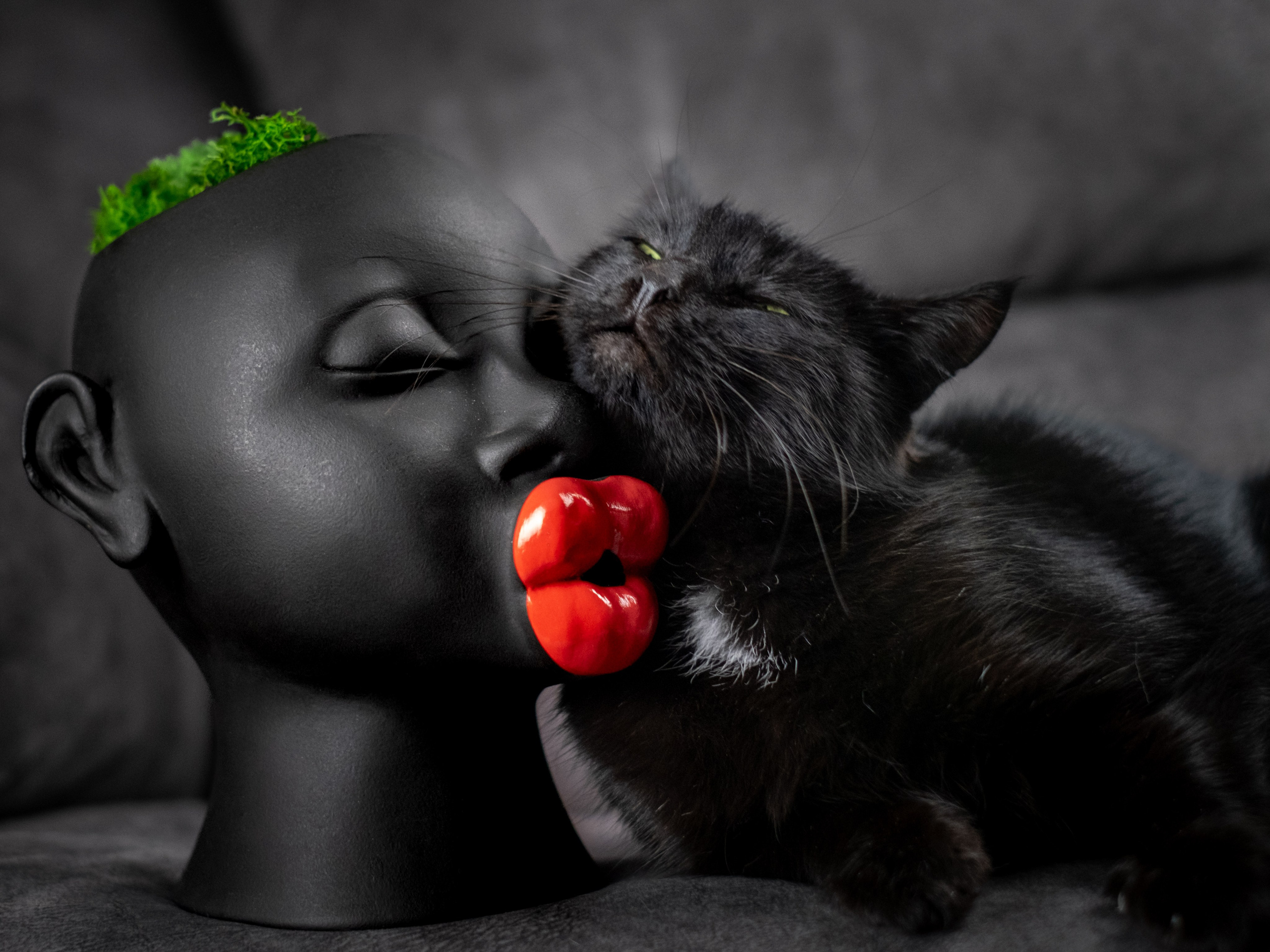 Зоофотограф, фотограф животных в Москве и области Дина Дамоцева