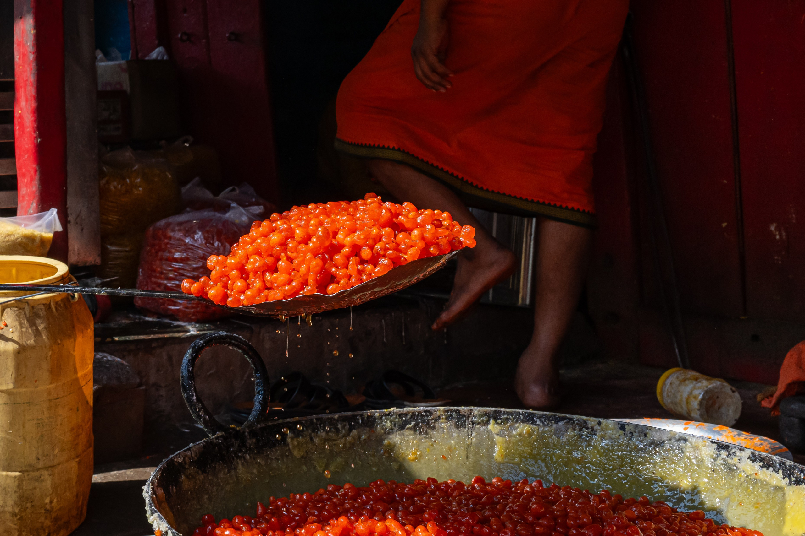 India 2024-2025. Dimitri Bakhtadze photographer