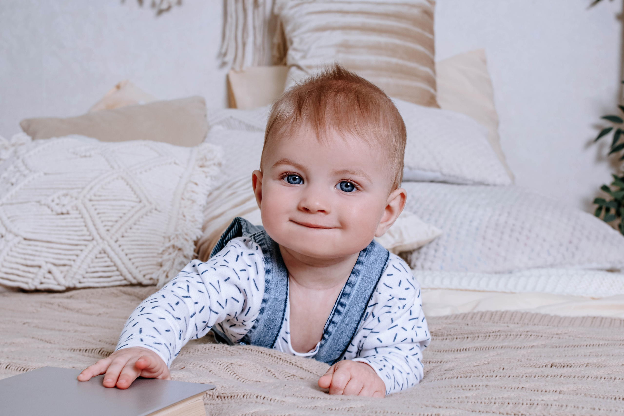 Отзывы. Alexsaphoto.ru