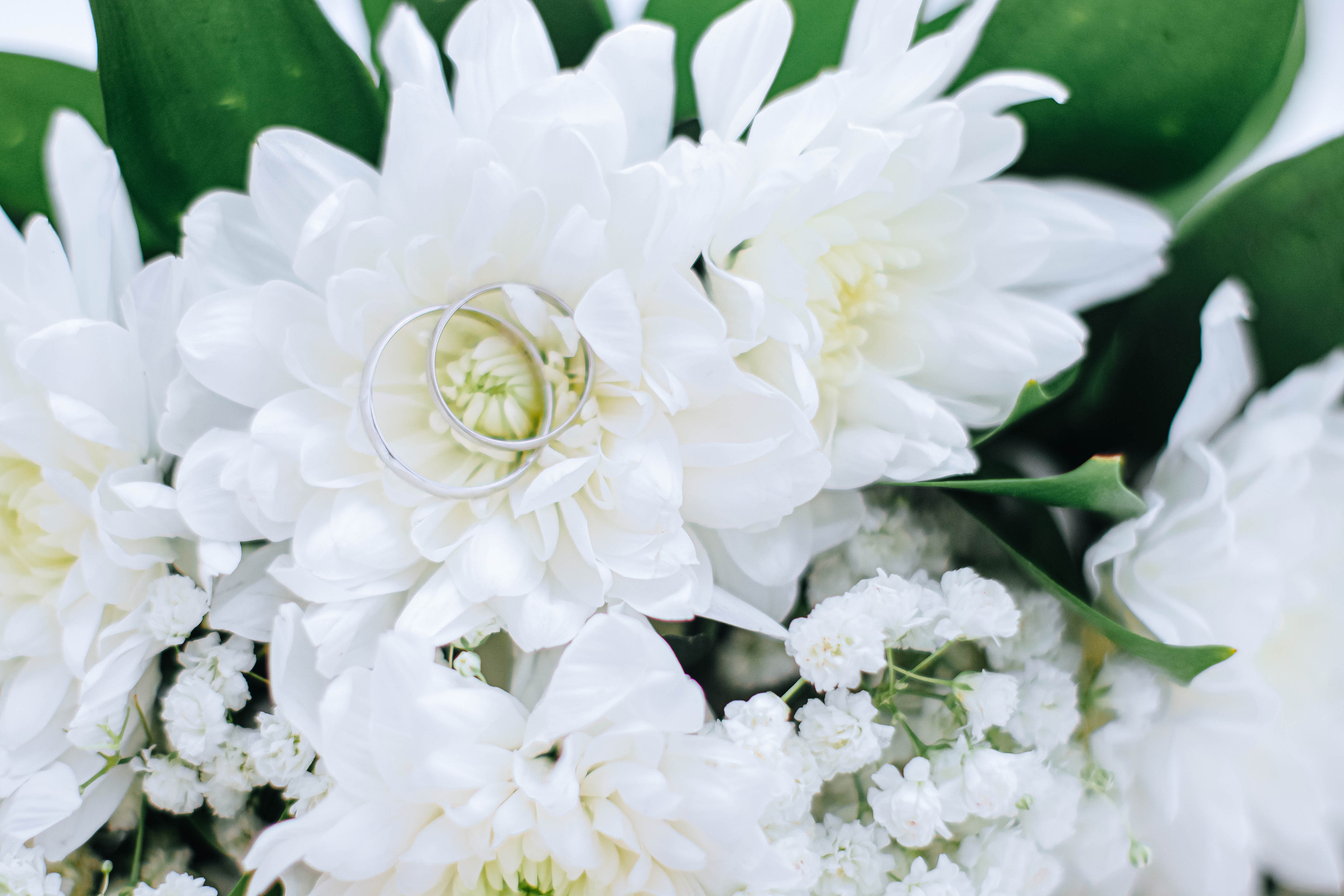 Отзывы. Alexsaphoto.ru