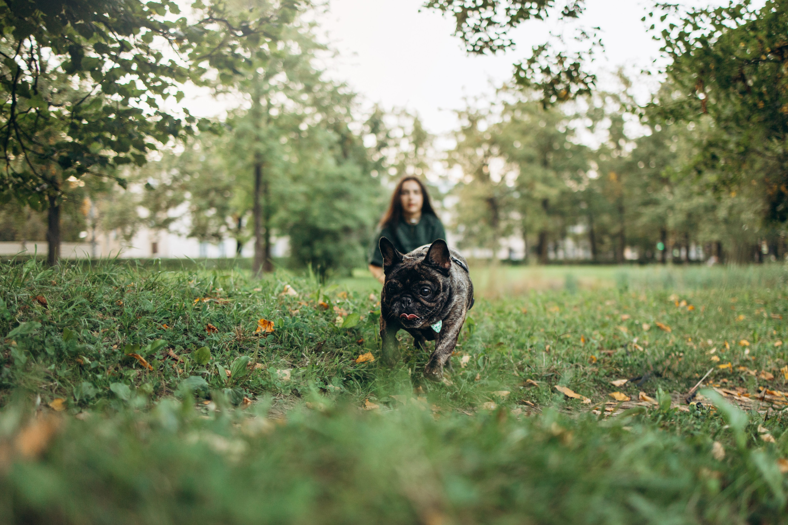 Олеся и Луи. Фотограф — Анималист | Санкт-Петербург
