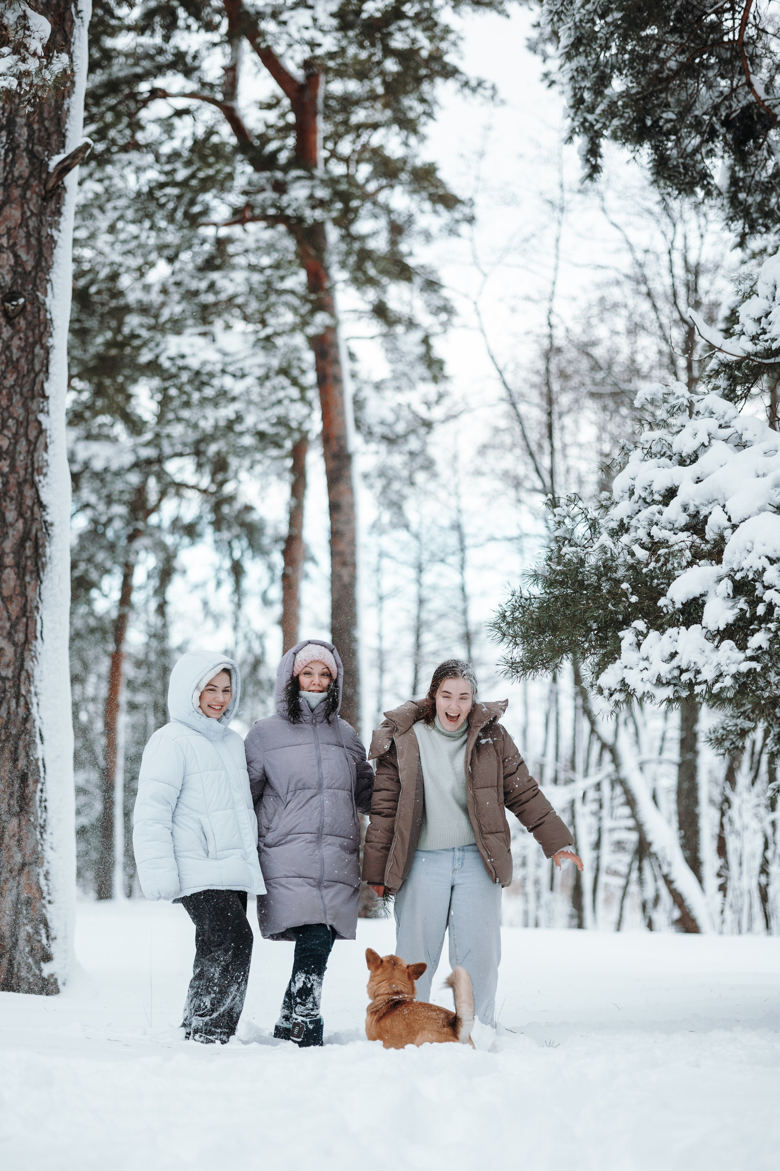 Оливка и ее семья. Фотограф — Анималист | Санкт-Петербург