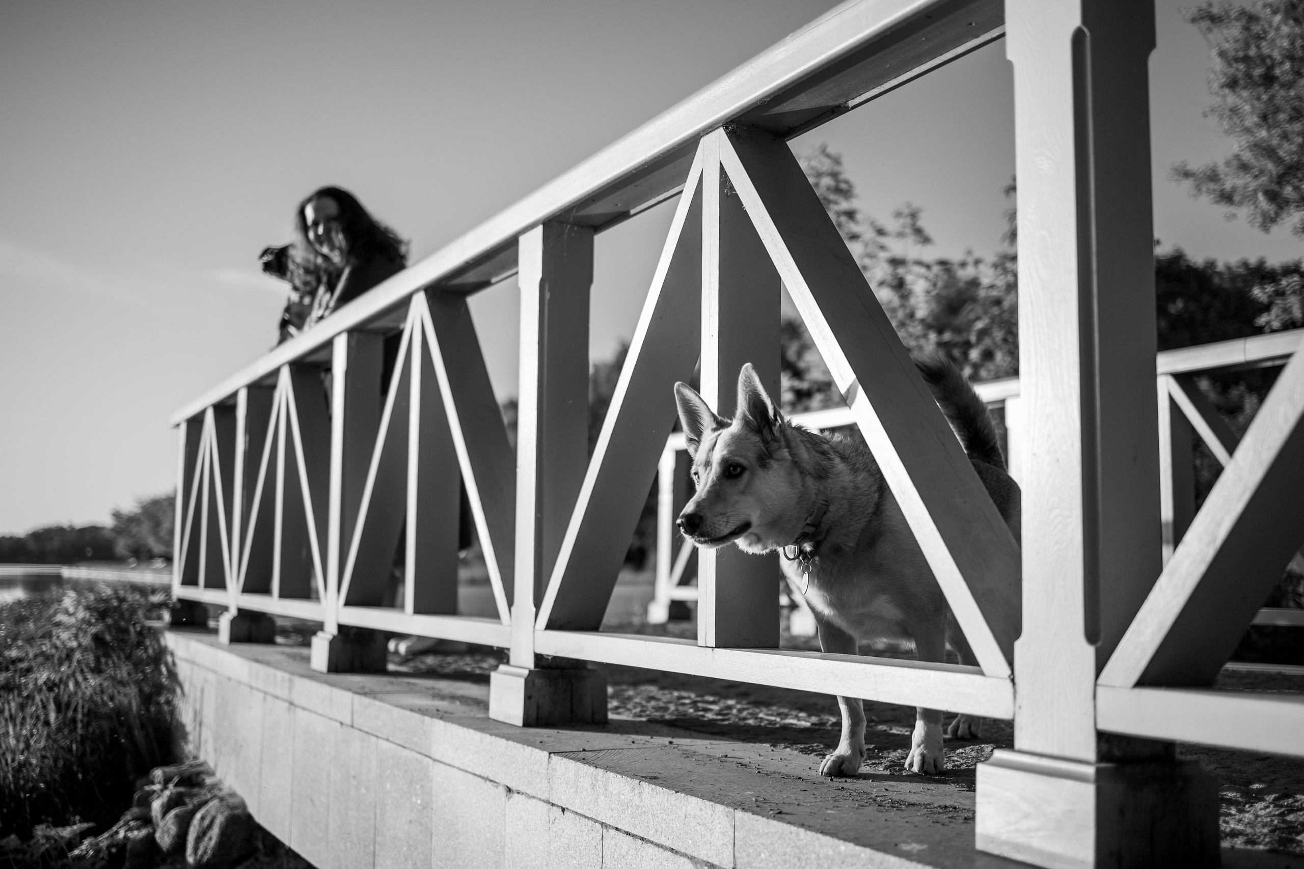 Татьяна, Сергей и их Булочка и Пончик. Фотограф — Анималист | Санкт-Петербург