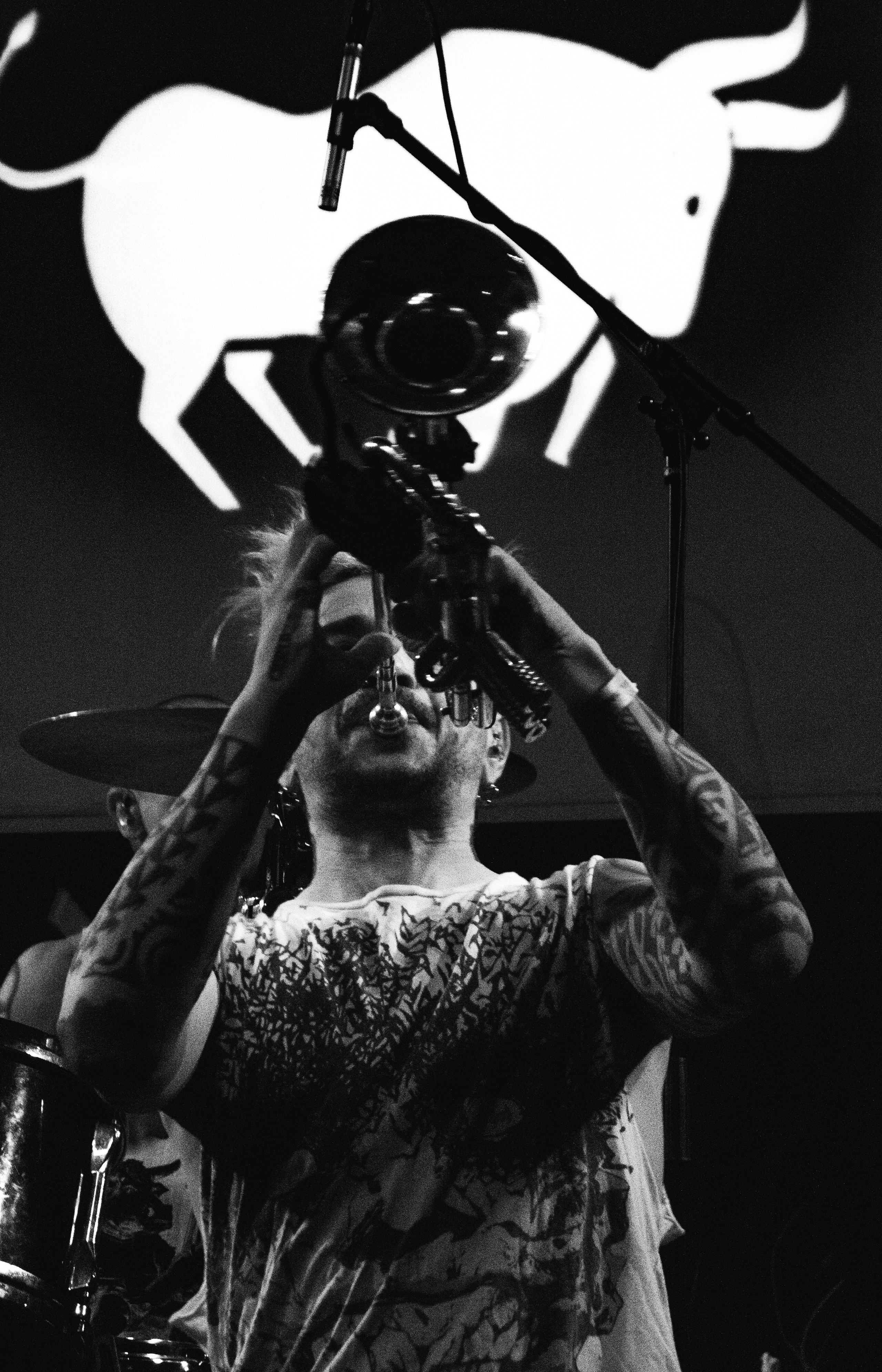 СКОТЫ | 11.12.2024 | ЛАСТОЧКА. VLADIS PISKUNOV | Концертные Фото |Репортажи