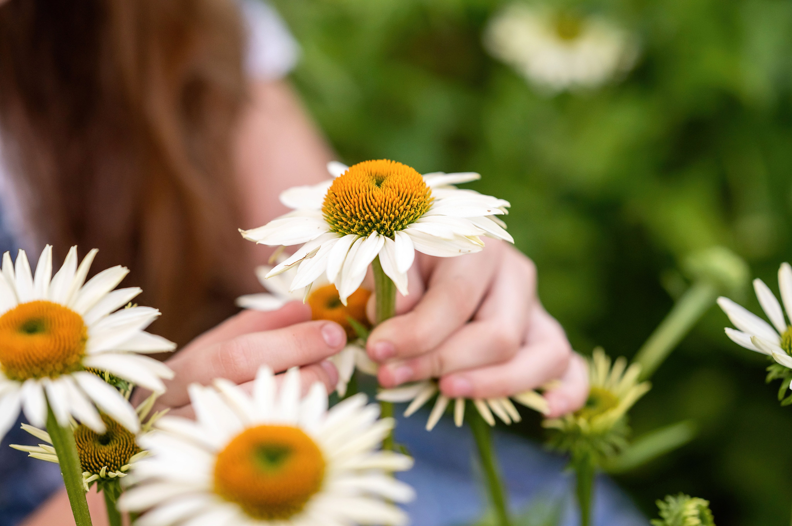 Ах лето. Семейный фотограф в г. Воскресенск Наталия Молева