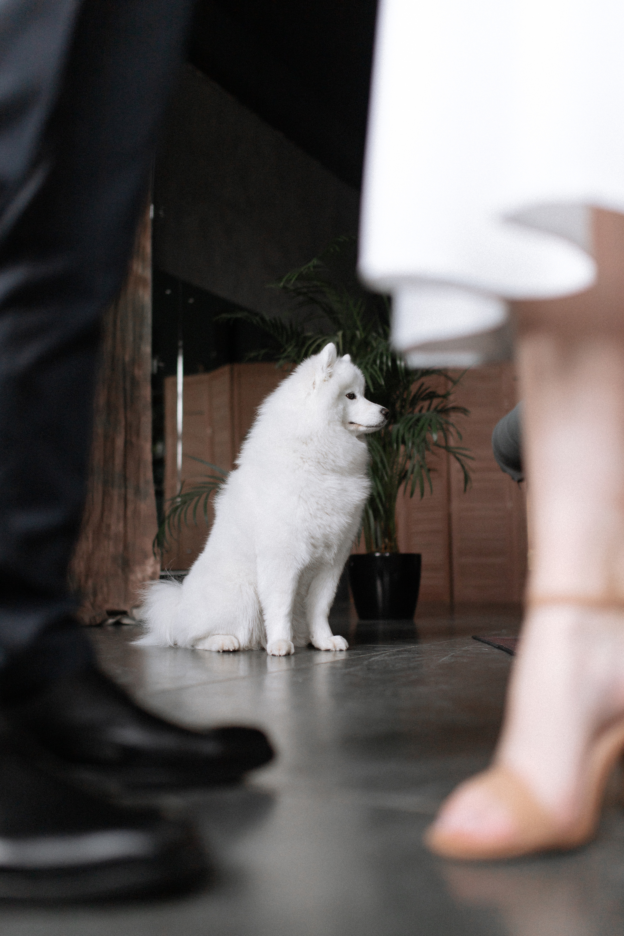 Е&В. Свадебный и портретный фотограф в Тюмени Нюта Кирилова