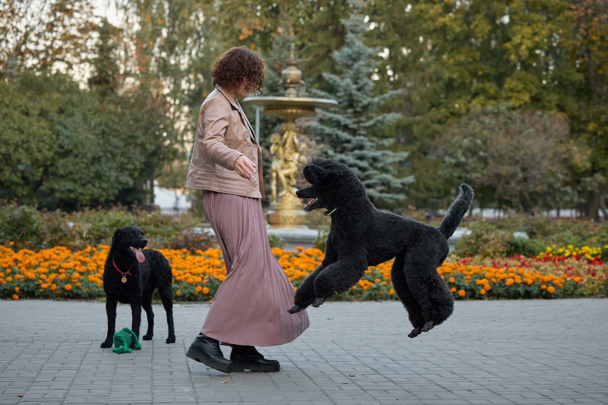 Альбина. Марфа и Мистик. Прогулка в парке. Фотограф анималист в Казани Алина Сулейманова. Фотограф животных