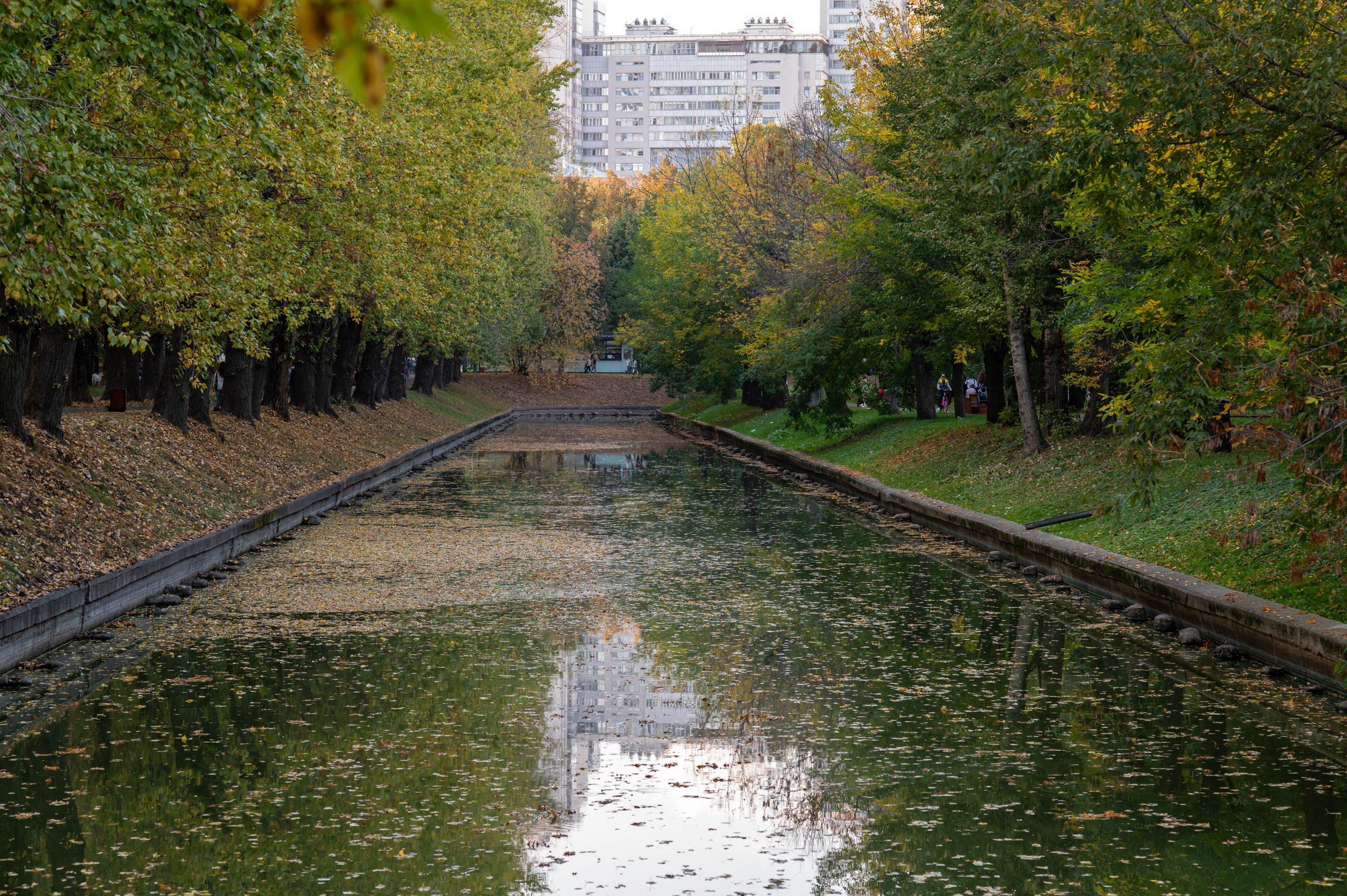 20230930 Красная Пресня. Дмитрий Ремизов. Фотография, как хобби