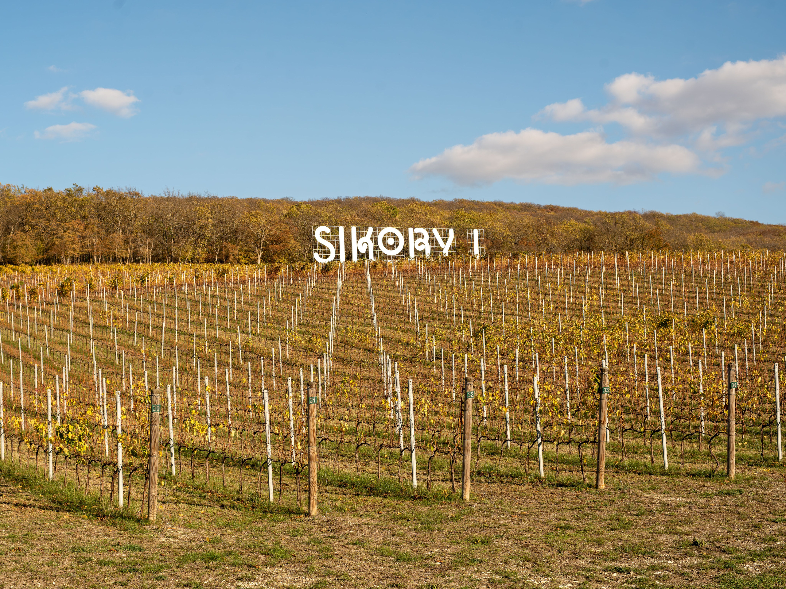 Литературная мастерская с Ольгой Шутовой в «Винотеррии». Репортажный фотограф в Красной Поляне и Сочи Павлюченко Екатерина