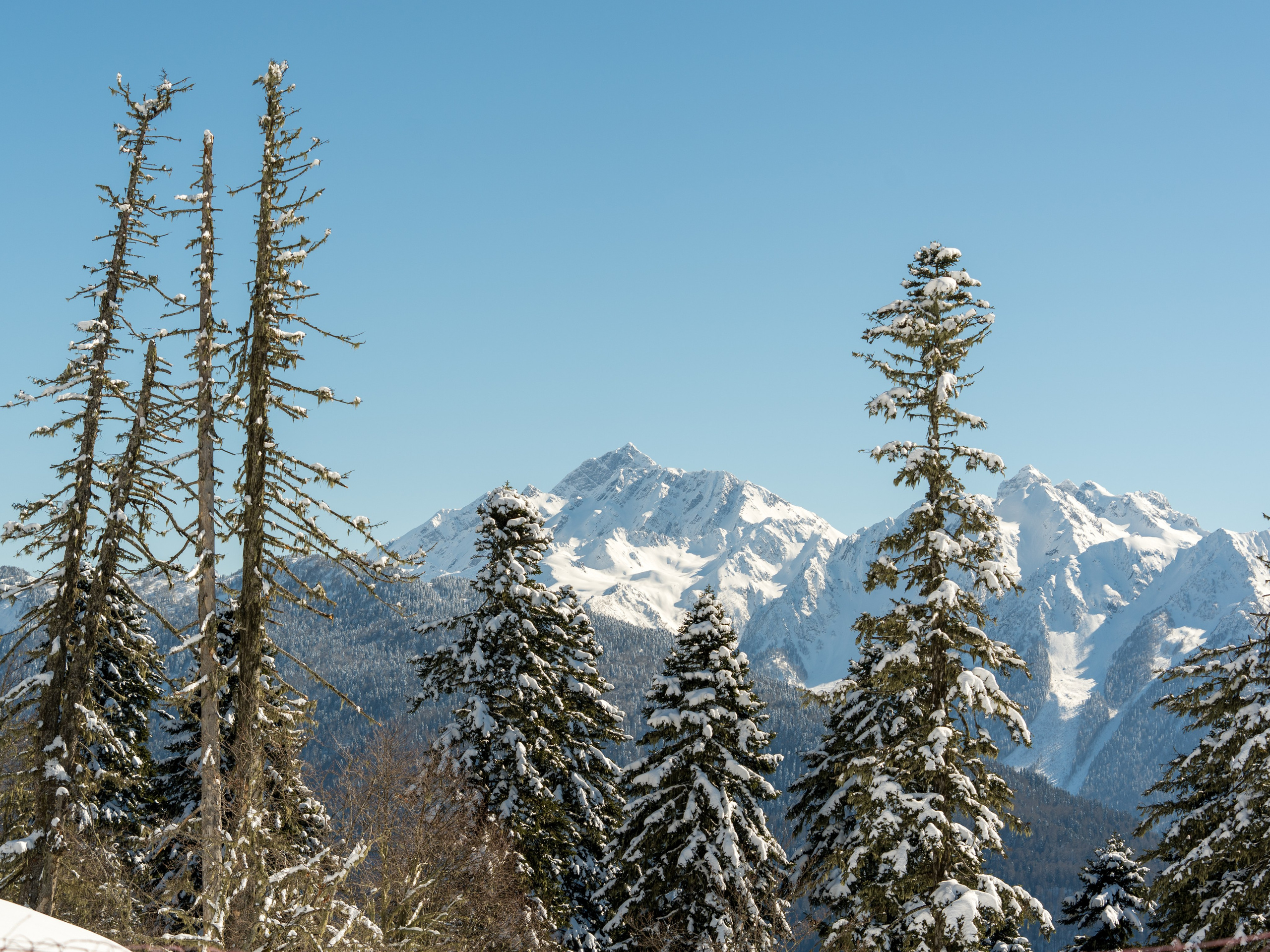 Екатерина. Репортажный фотограф в Красной Поляне и Сочи Павлюченко Екатерина