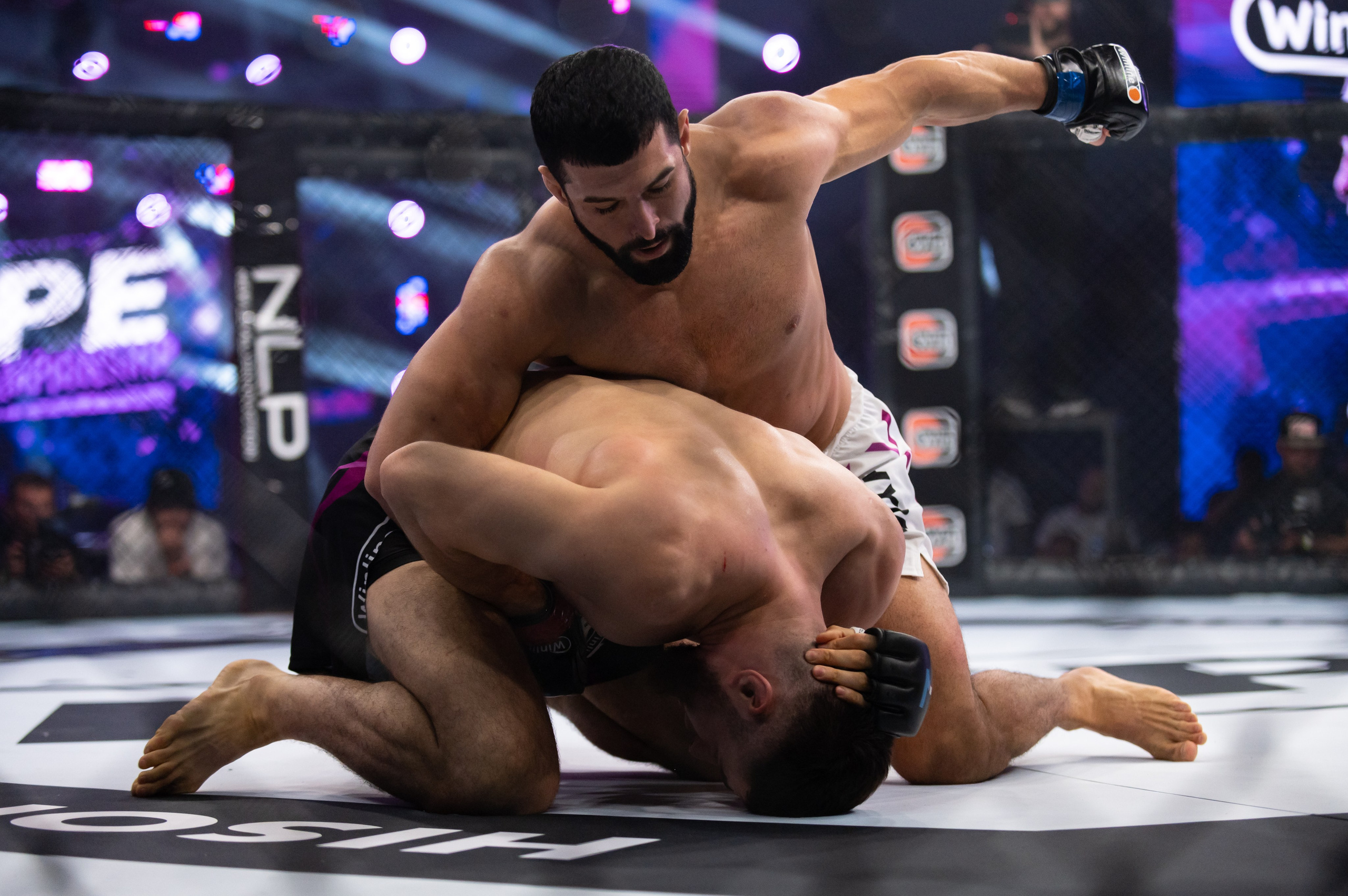 Бои. Репортажный фотограф в Красной Поляне и Сочи Павлюченко Екатерина