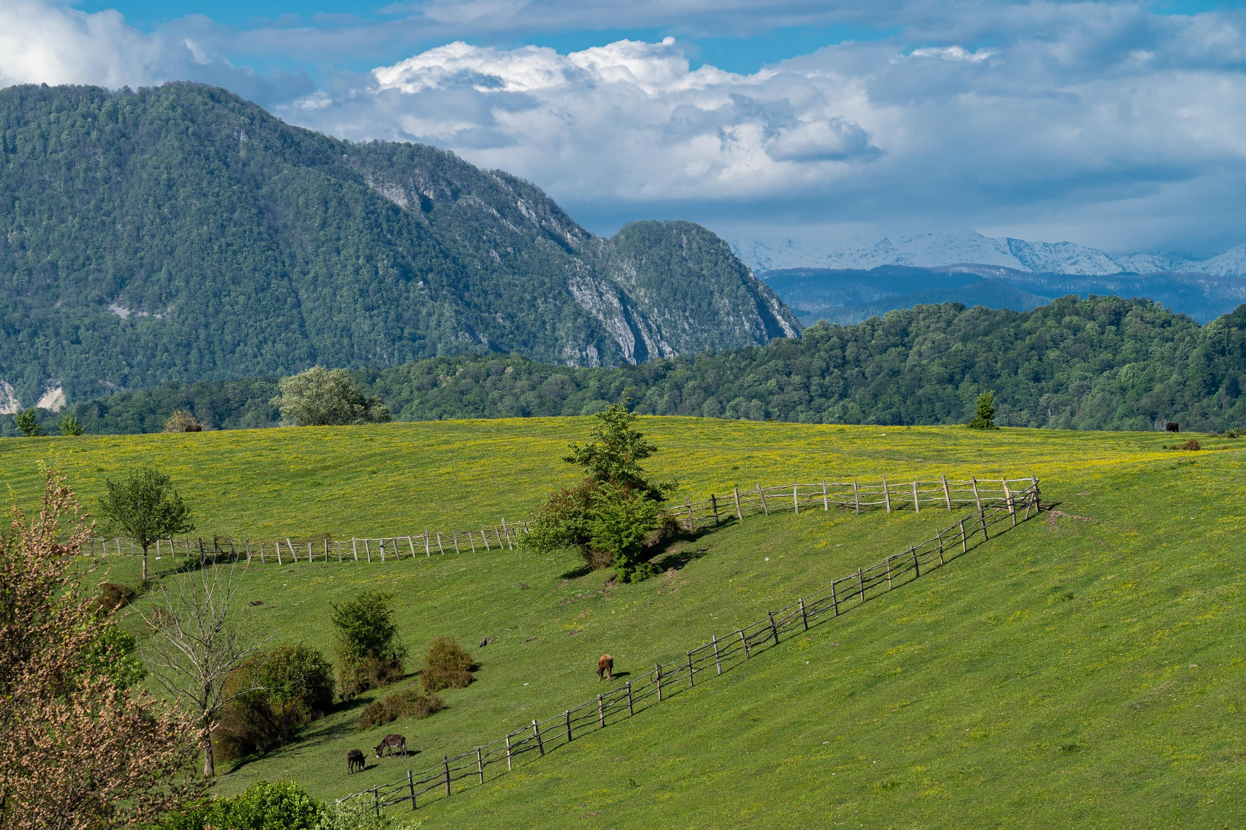 Путешествия и пейзаж. Репортажный фотограф в Красной Поляне и Сочи Павлюченко Екатерина
