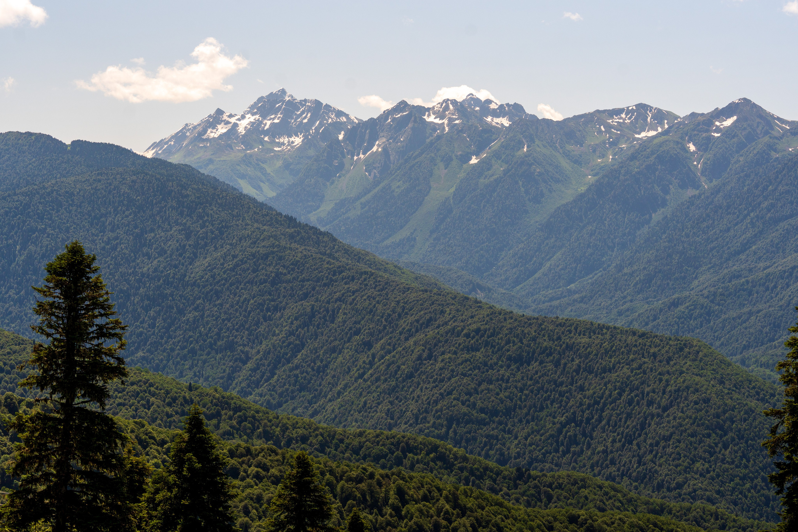 Laura Training Run. Репортажный фотограф в Красной Поляне и Сочи Павлюченко Екатерина