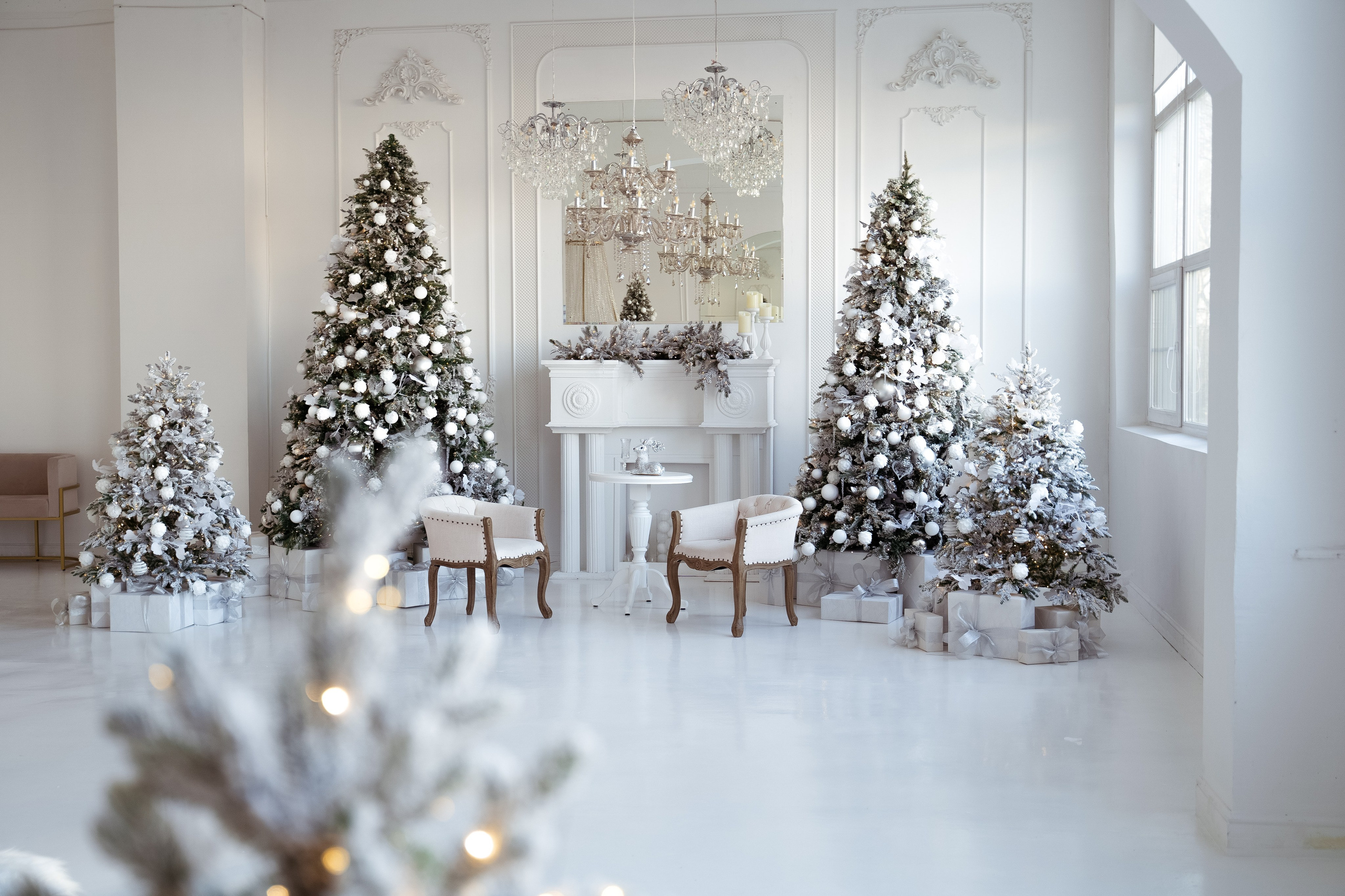 Ренессанс. Фотограф г. Хабаровск. Семейные и индивидуальные съёмки