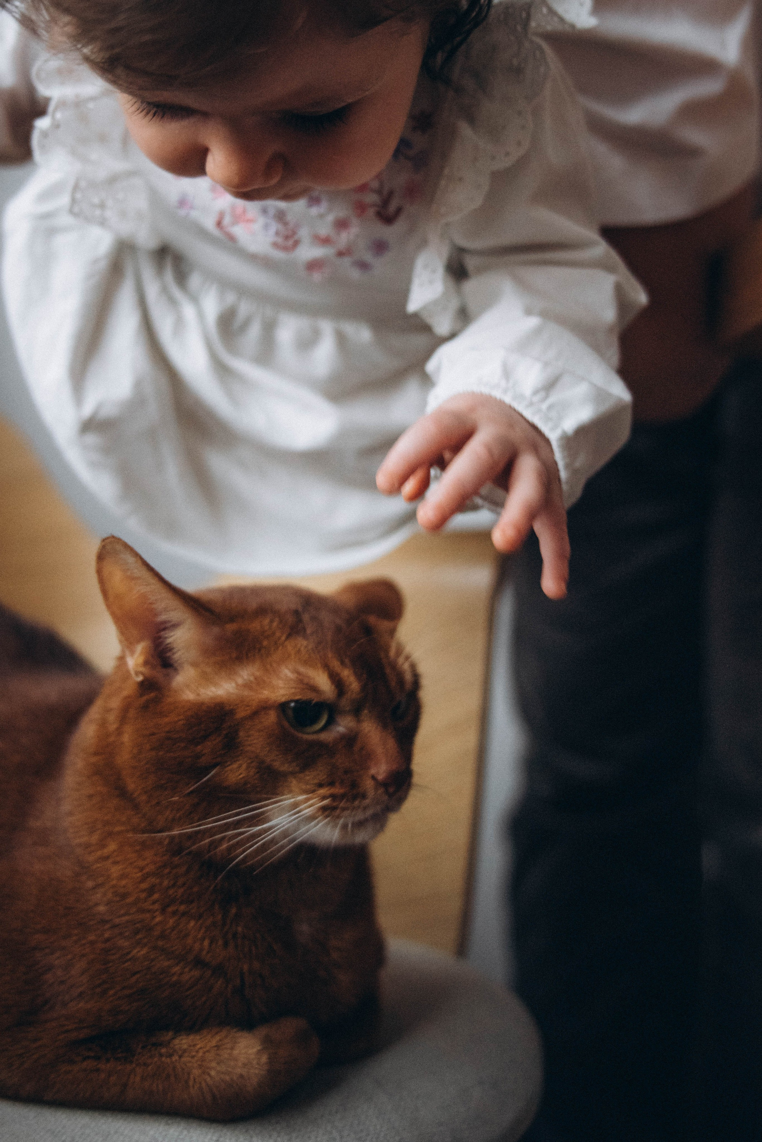 Малышка. Леся Власова. Семейный Lifestyle фотограф в Москве