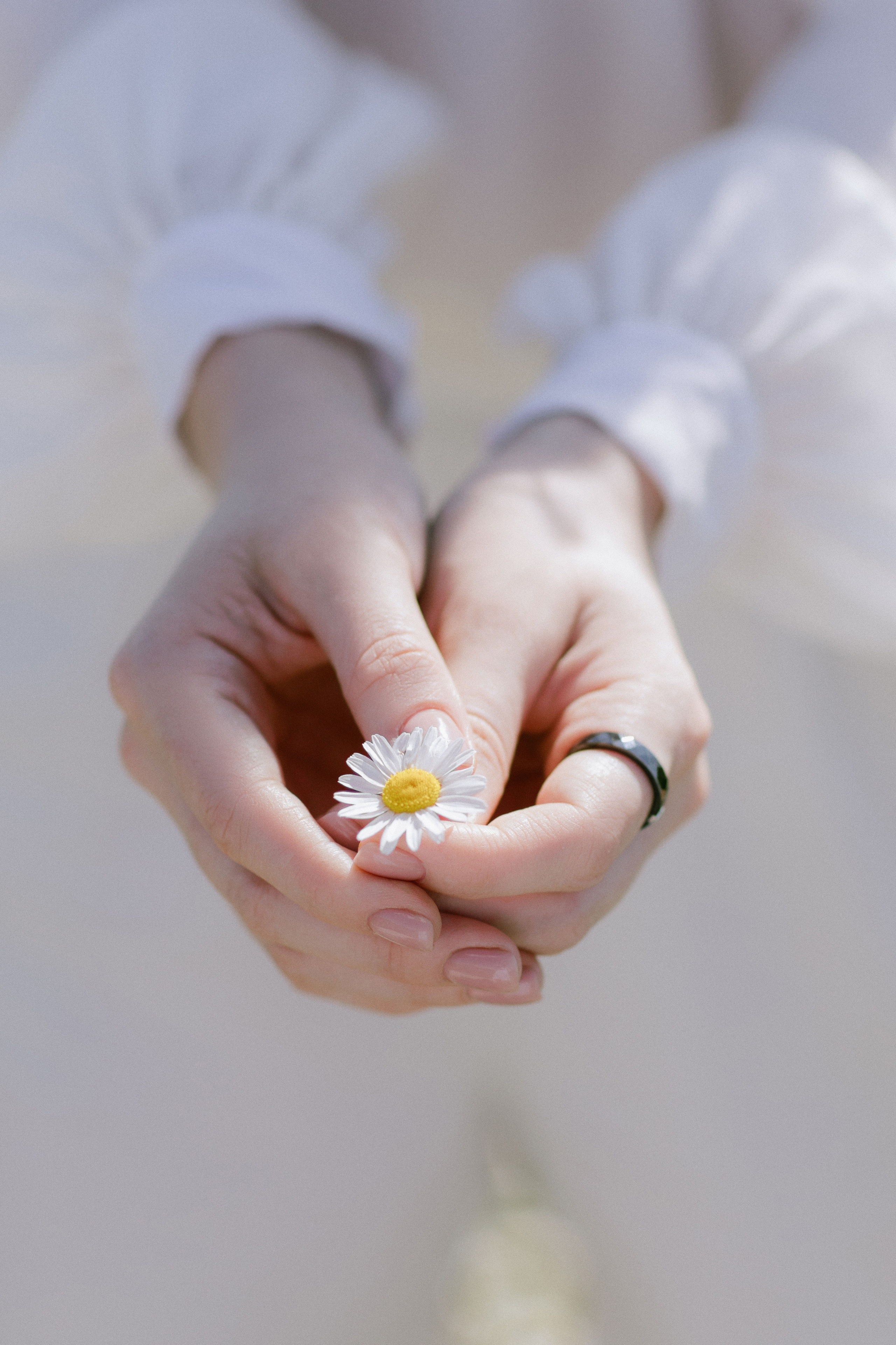 Коктейль из ромашек. Свадебный и семейный фотограф в Перми Дергачева Кристина
