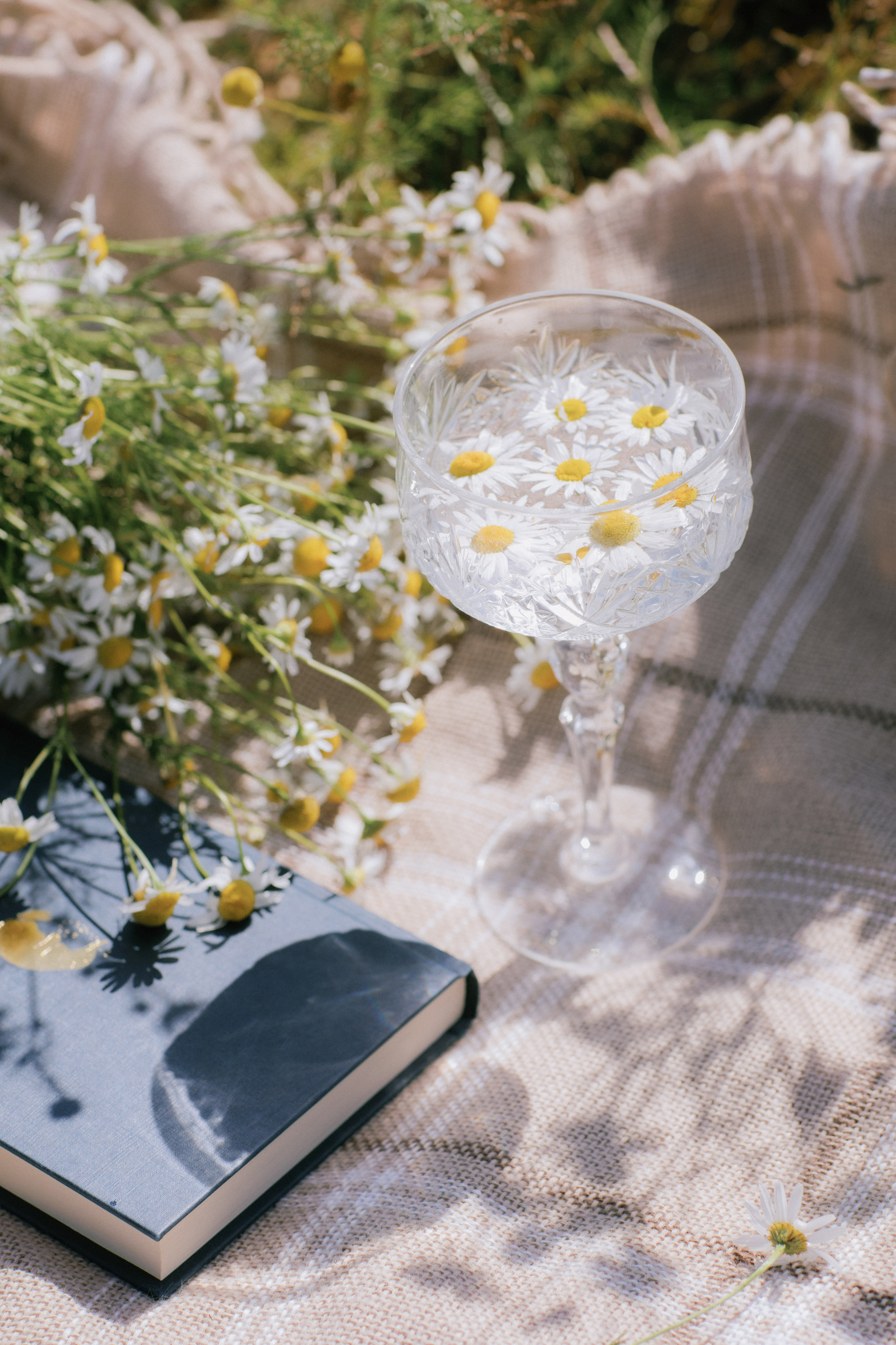Коктейль из ромашек. Свадебный и семейный фотограф в Перми Дергачева Кристина