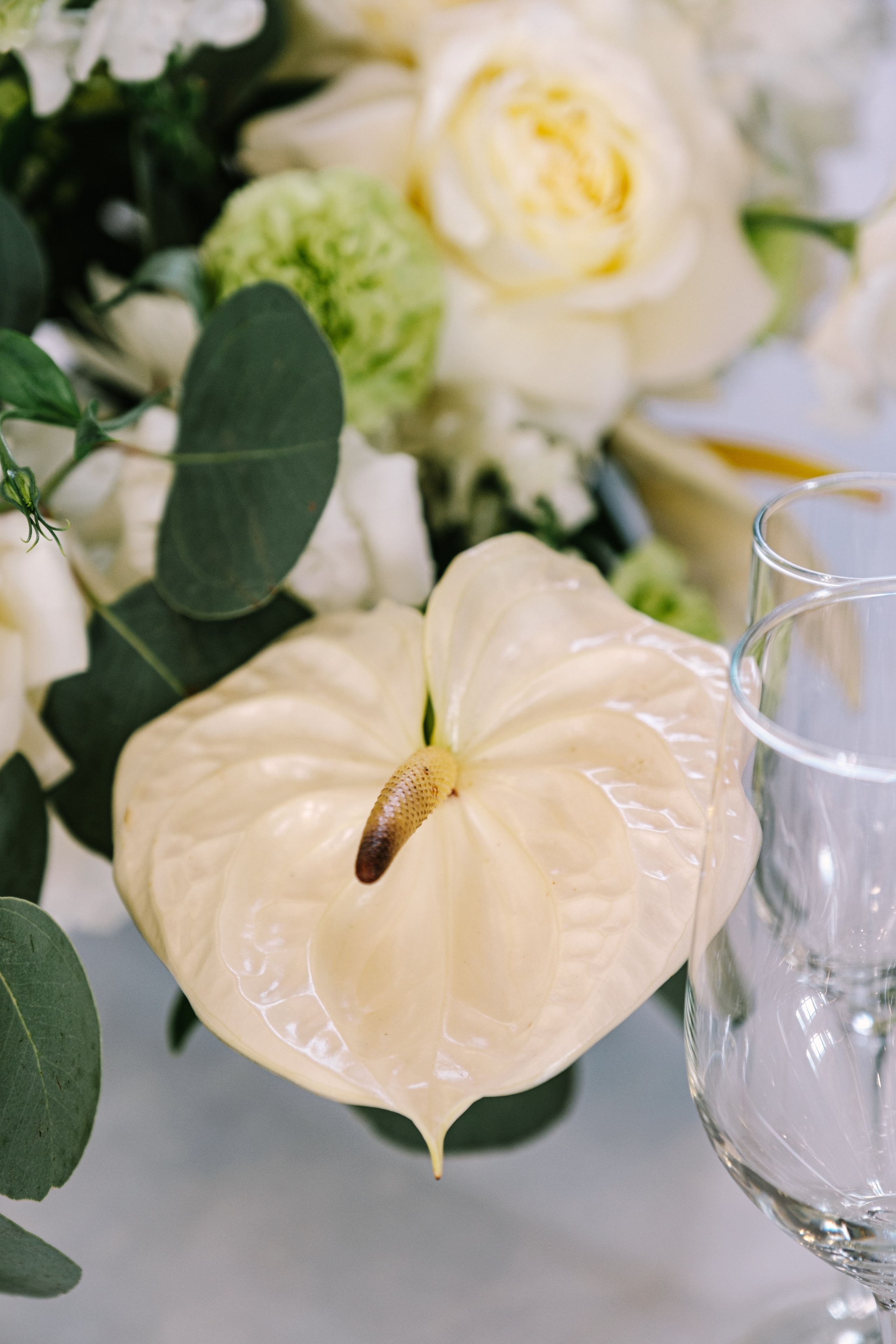 Виктория / Евгений. Свадебный Видеограф Фотограф в Сочи