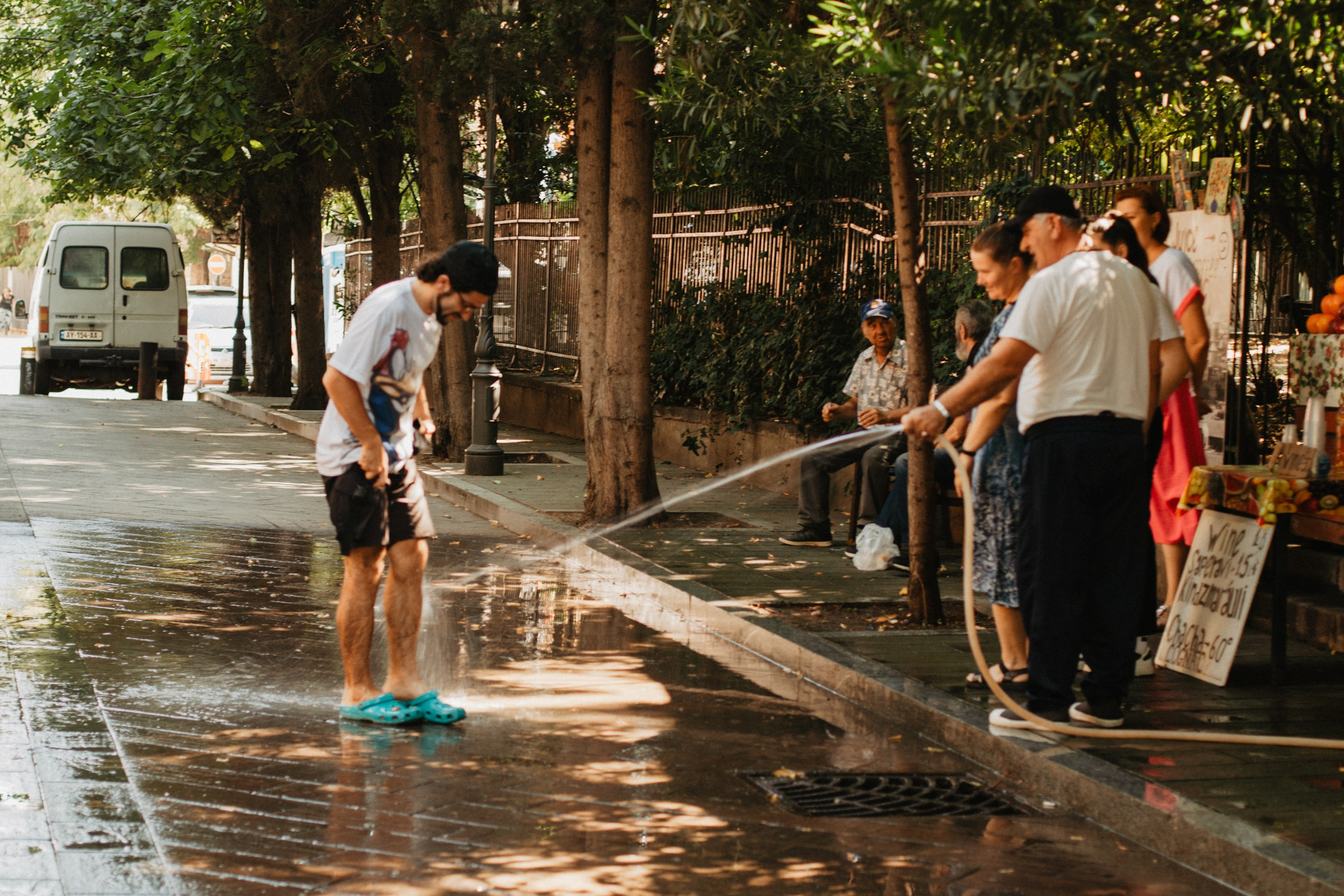 Грузинские каникулы. Violetta Skripka