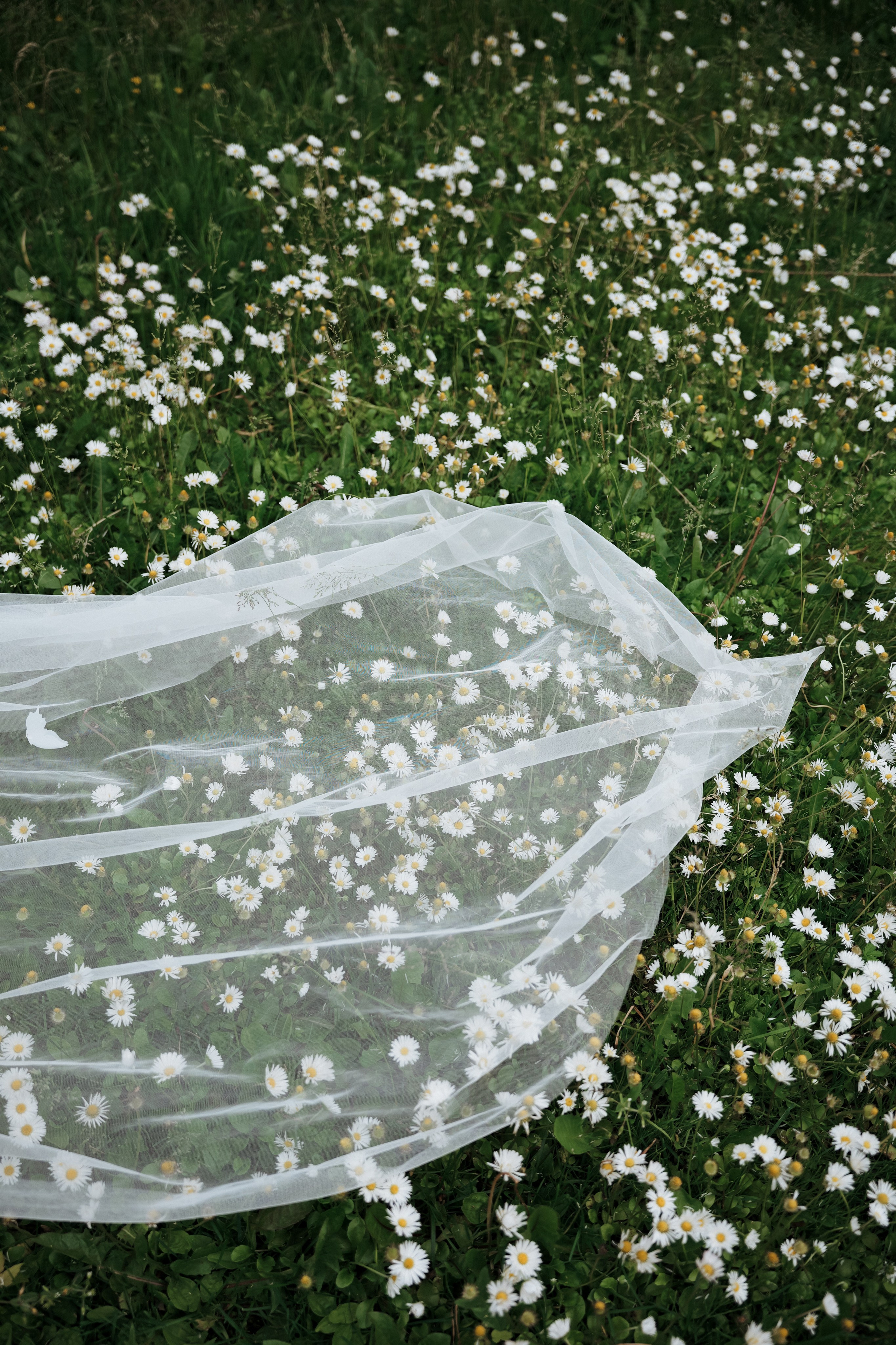 Денис и София. Фотограф и видеограф Мария Банщикова, Солнечногорск, Москва