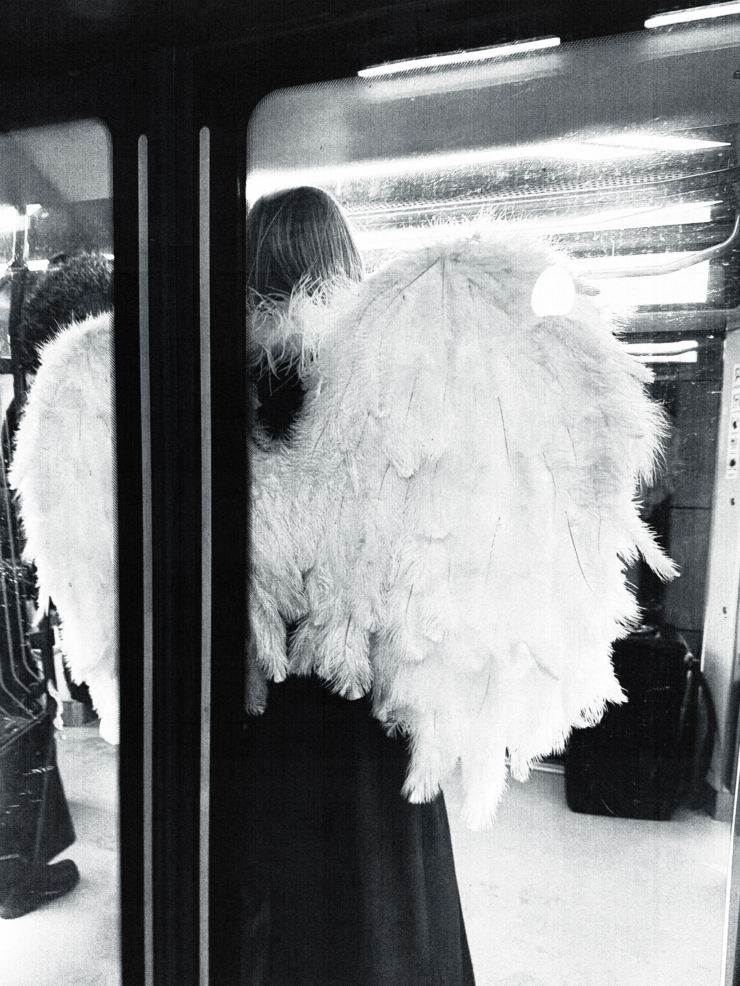 ALLTIME jewerly. PLANTA ROSA — REPORTAGE