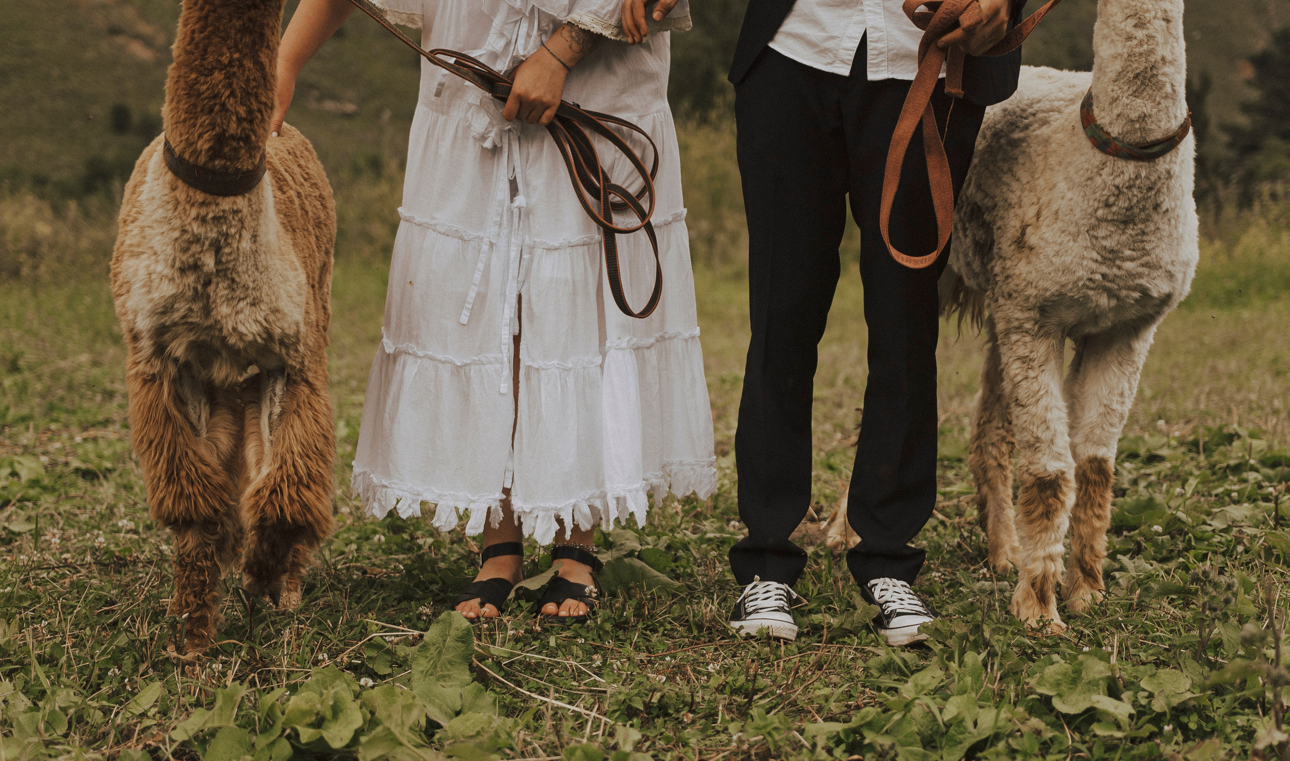 TIGRAN & VICTORIA | KISLOVODSK. Фотограф Настя Конник | Пятигорск | Эльбрус | Домбай | Архыз
