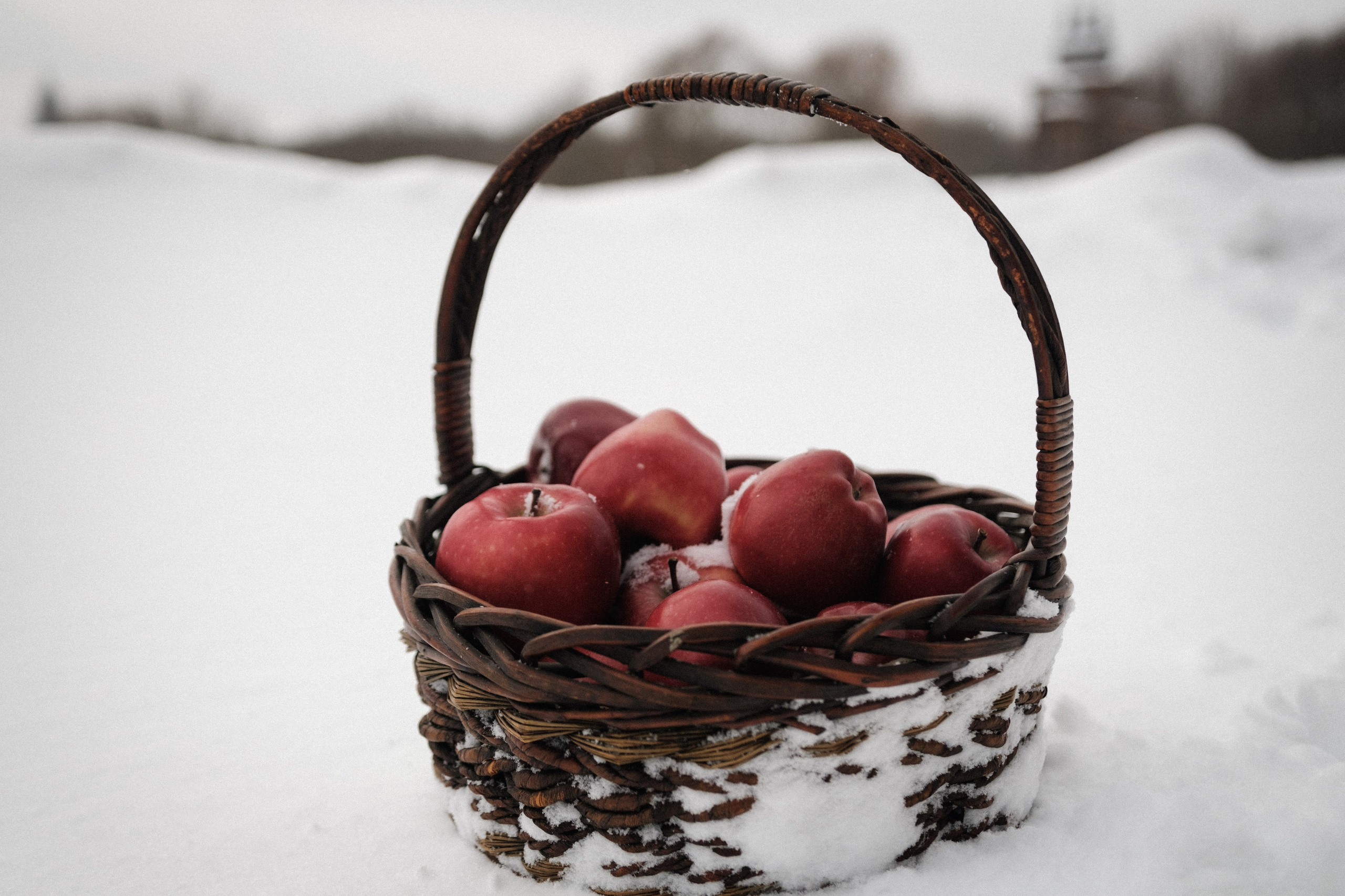 Яна в Коломенском зимой. Фотограф в Москве Максим Скоробогатов