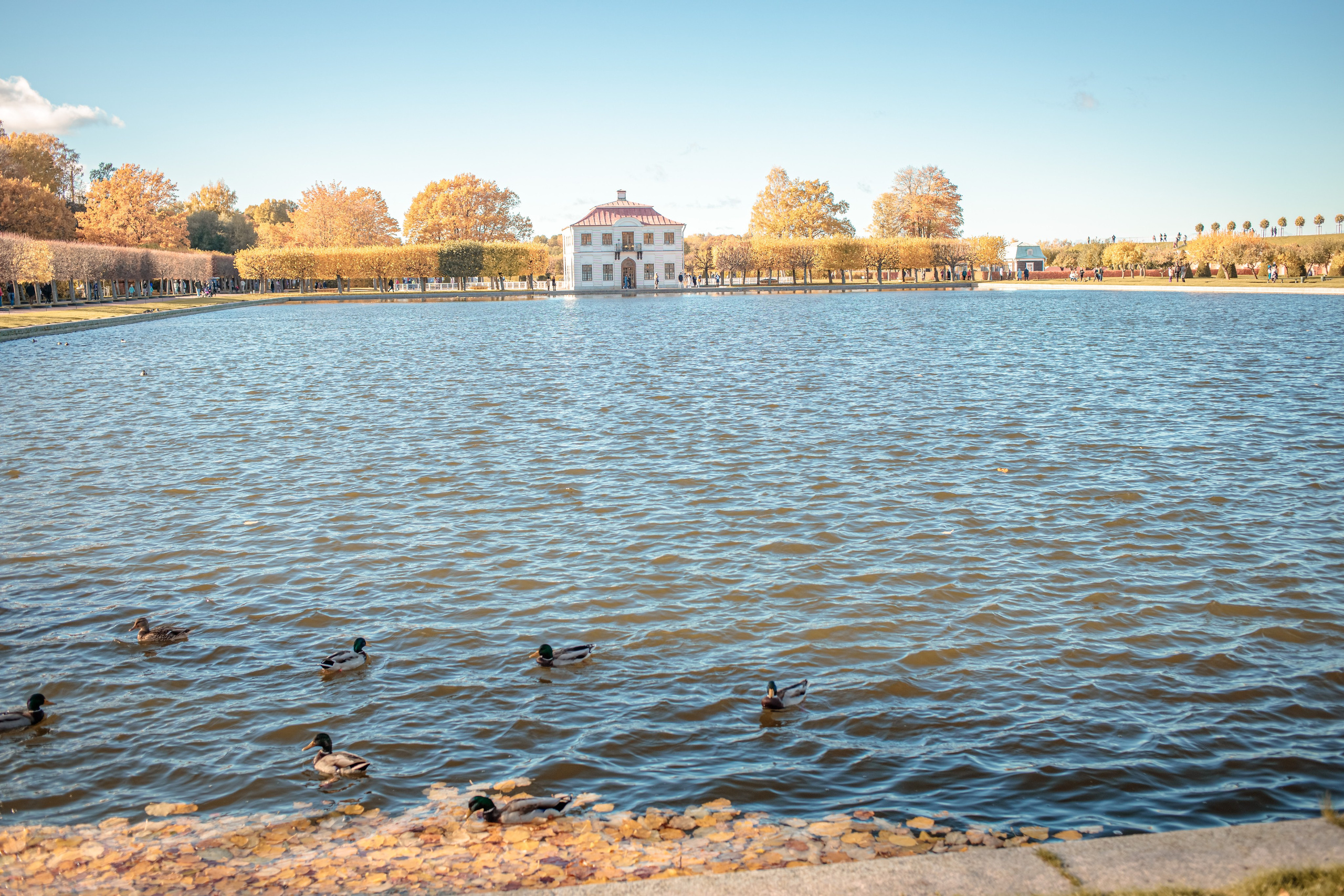 Петергоф нижний парк фото