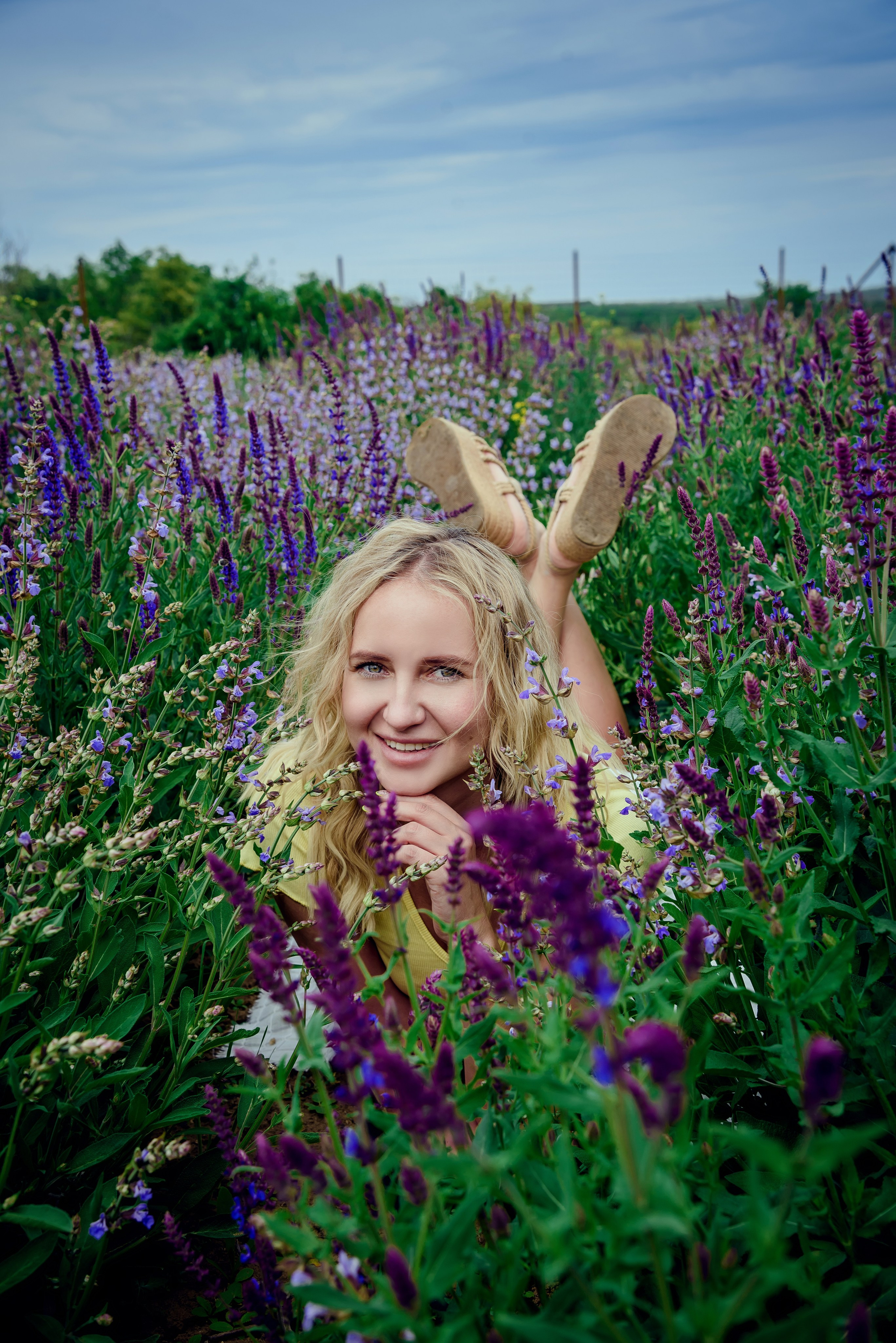 Лаванда. Фотограф Галина Нестерова