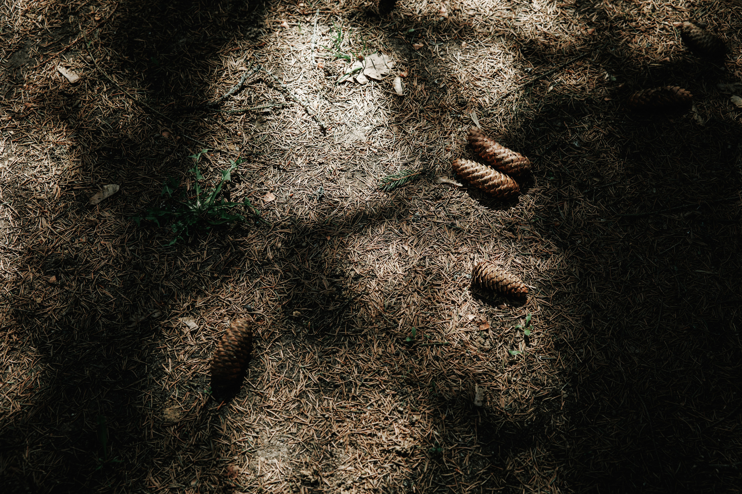 Лёля и Максим. Фотограф Игнат Купряшин