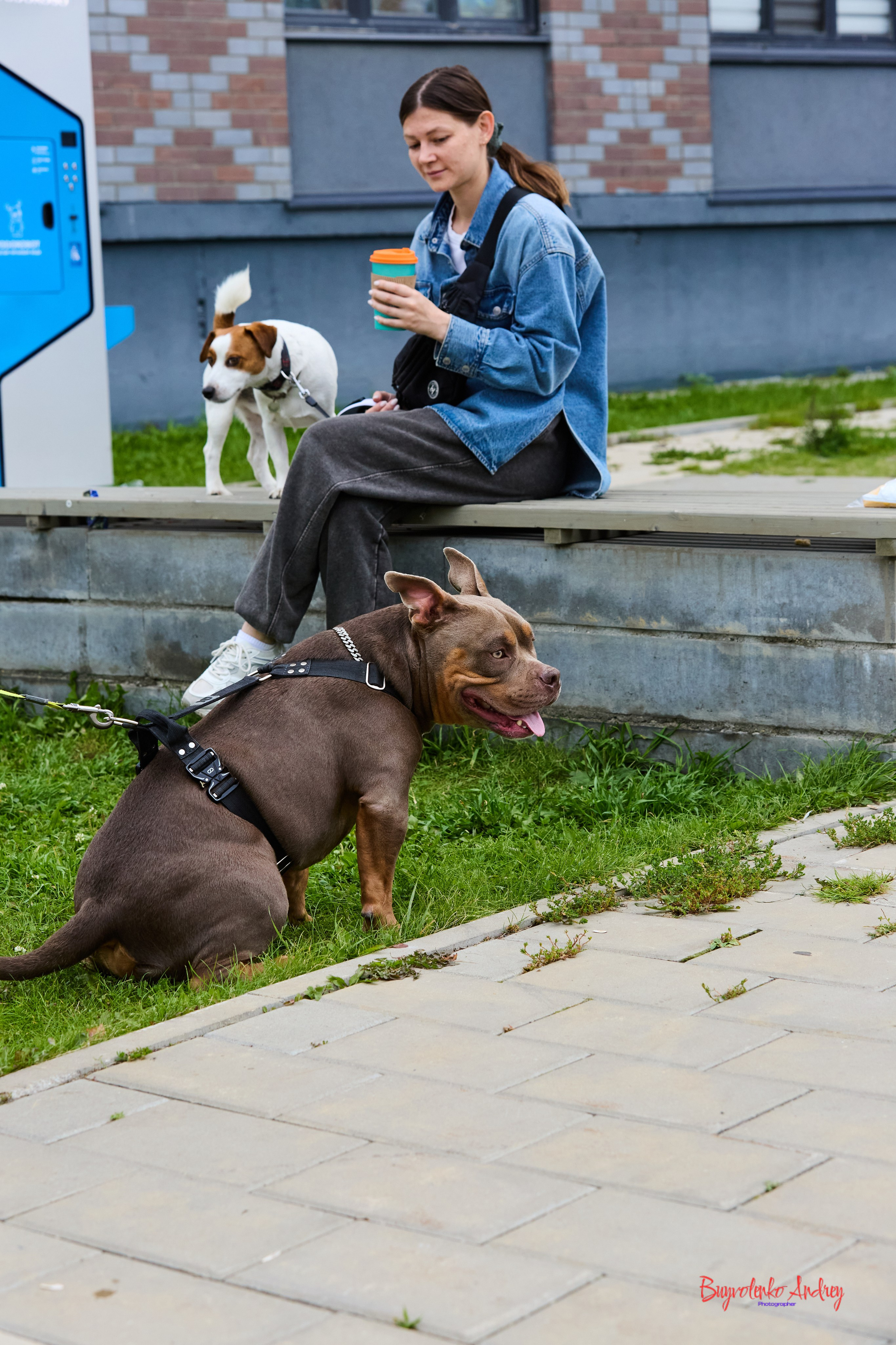 Проект фотопрогулка с хвостиком. Buyvolenko Andrey