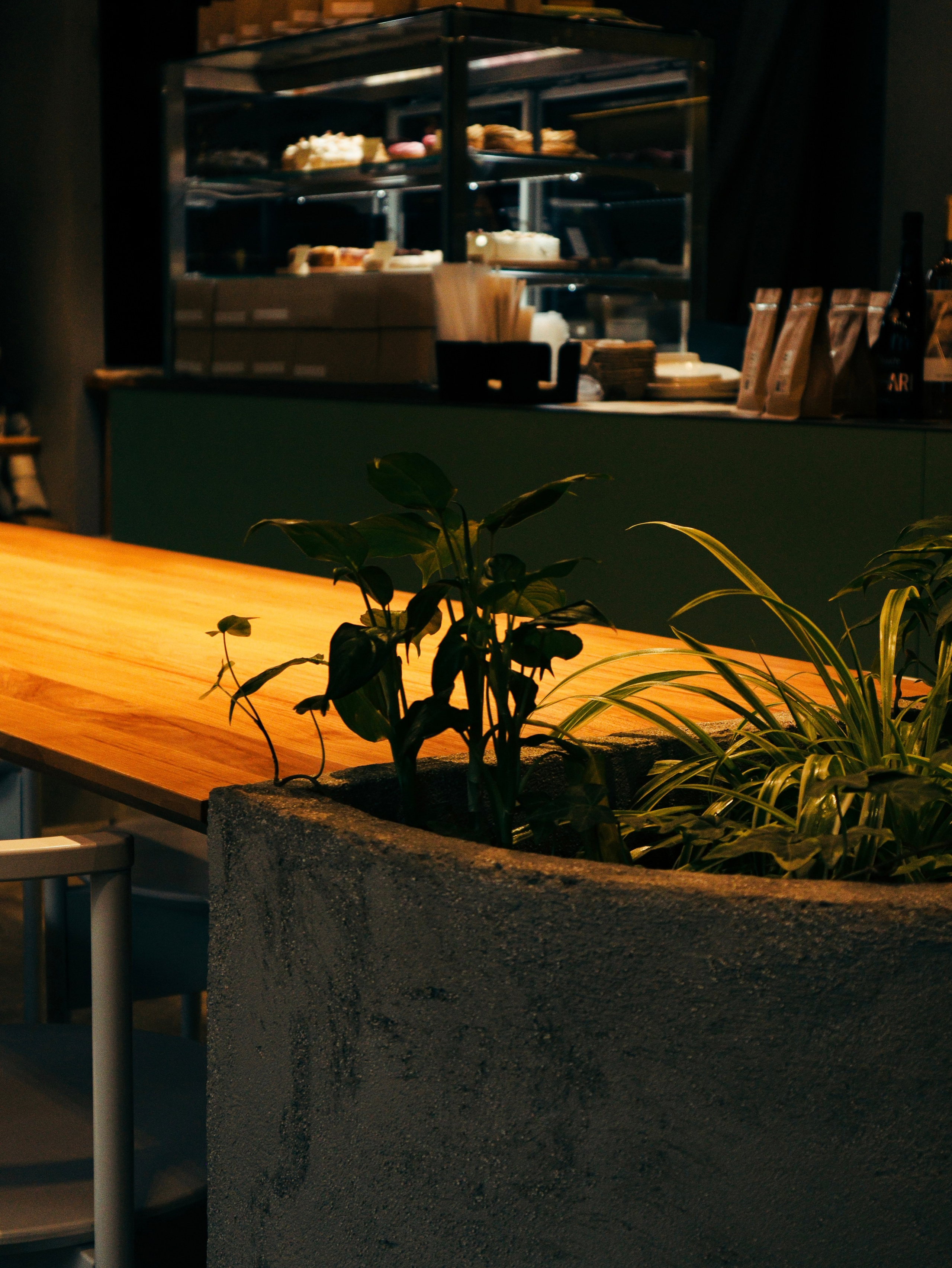 КОНТЕНТ-СЪЁМКА. Кинематографичный фотограф, видеограф Лина Плешакова, Санкт-Петербург