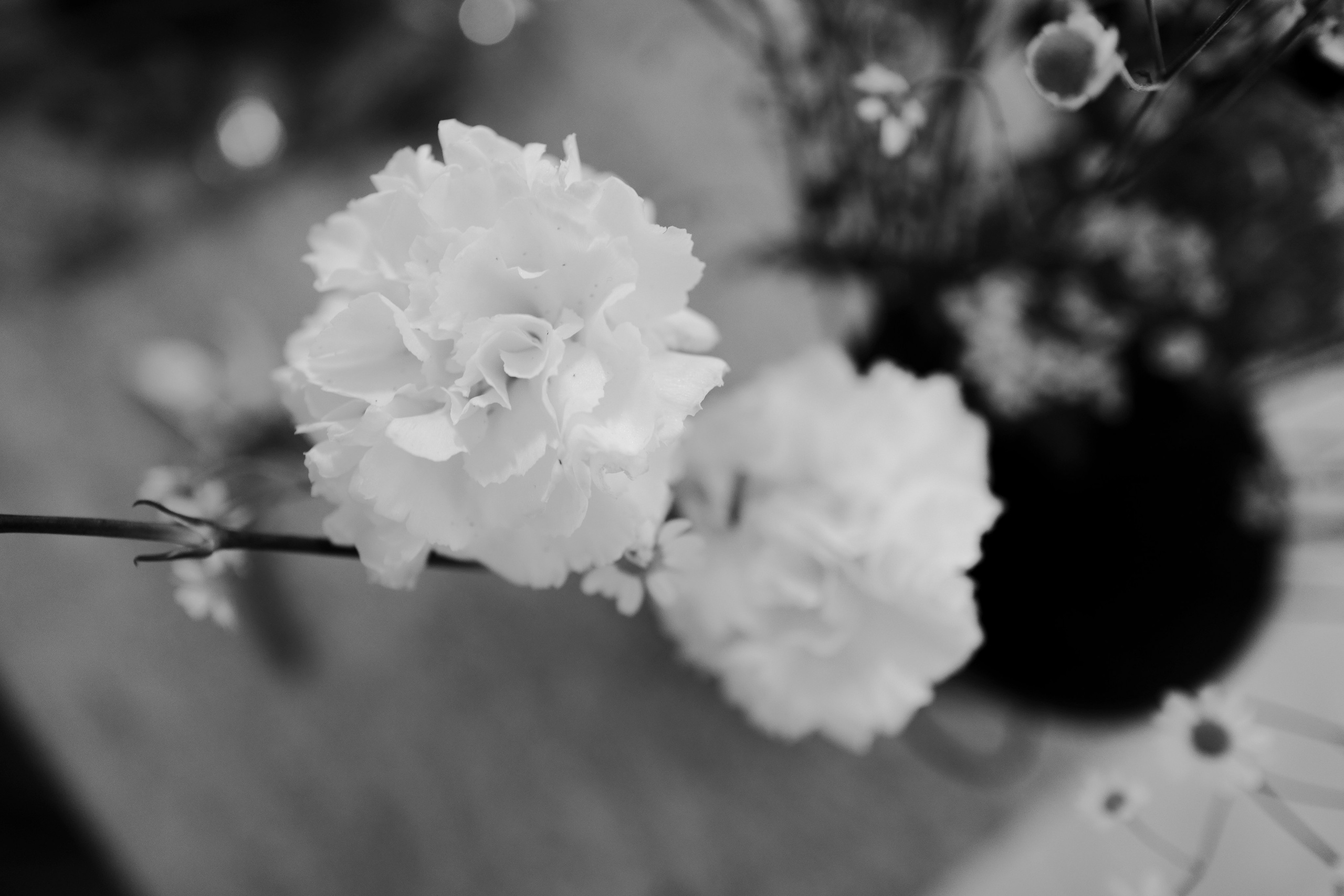 Lu Girls Only. Maxon Magnusson