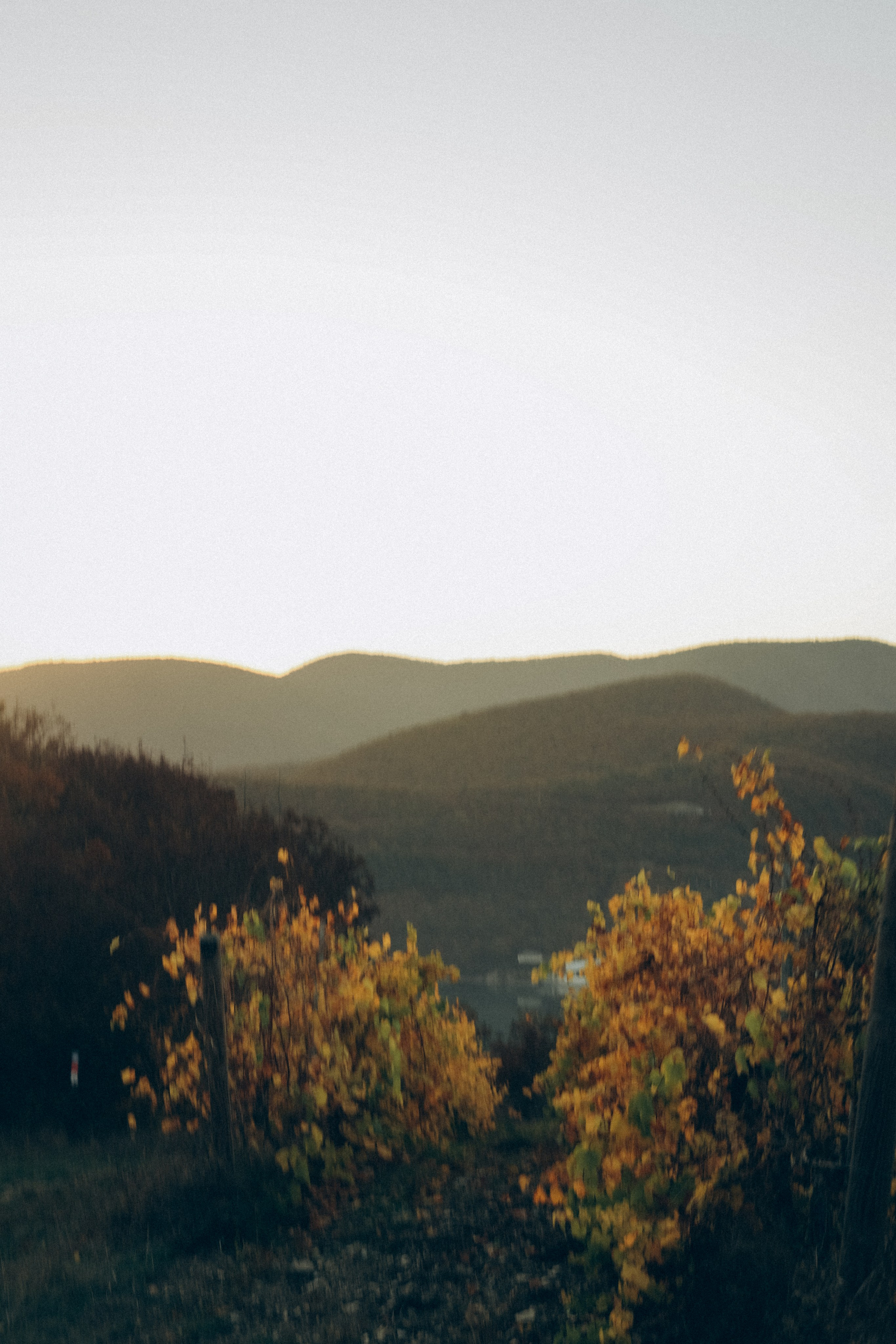 Инга, Андрей, Василиса и Леня. Семейный фотограф Анапа