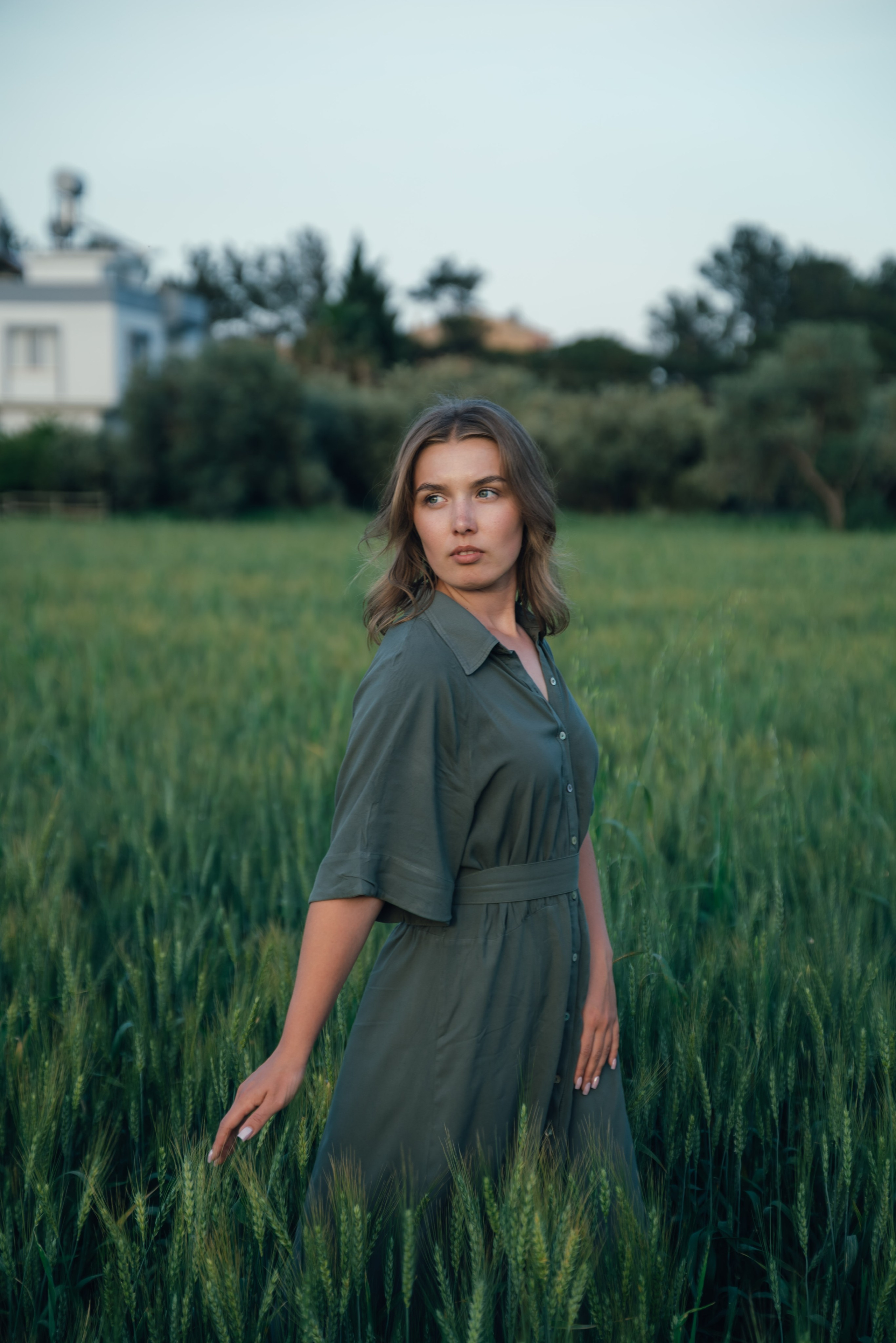 An Evening in the Field. Anna Lobanova | Photographer