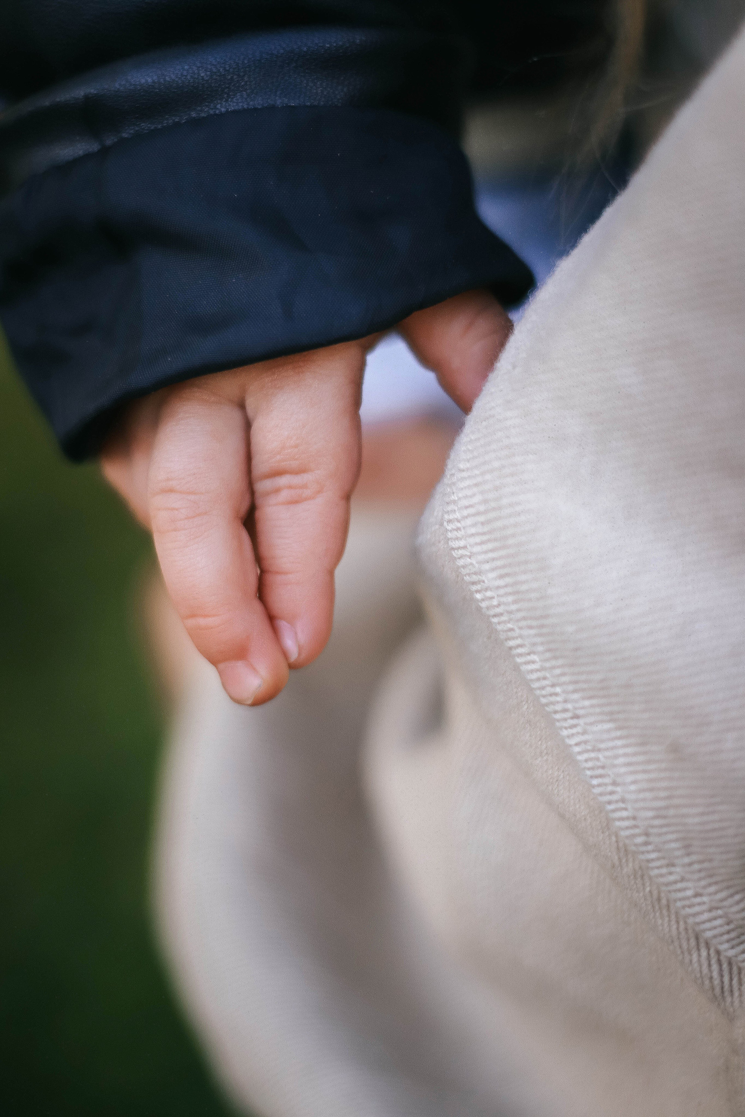 Василиса. Фотограф Дарья Маташкова