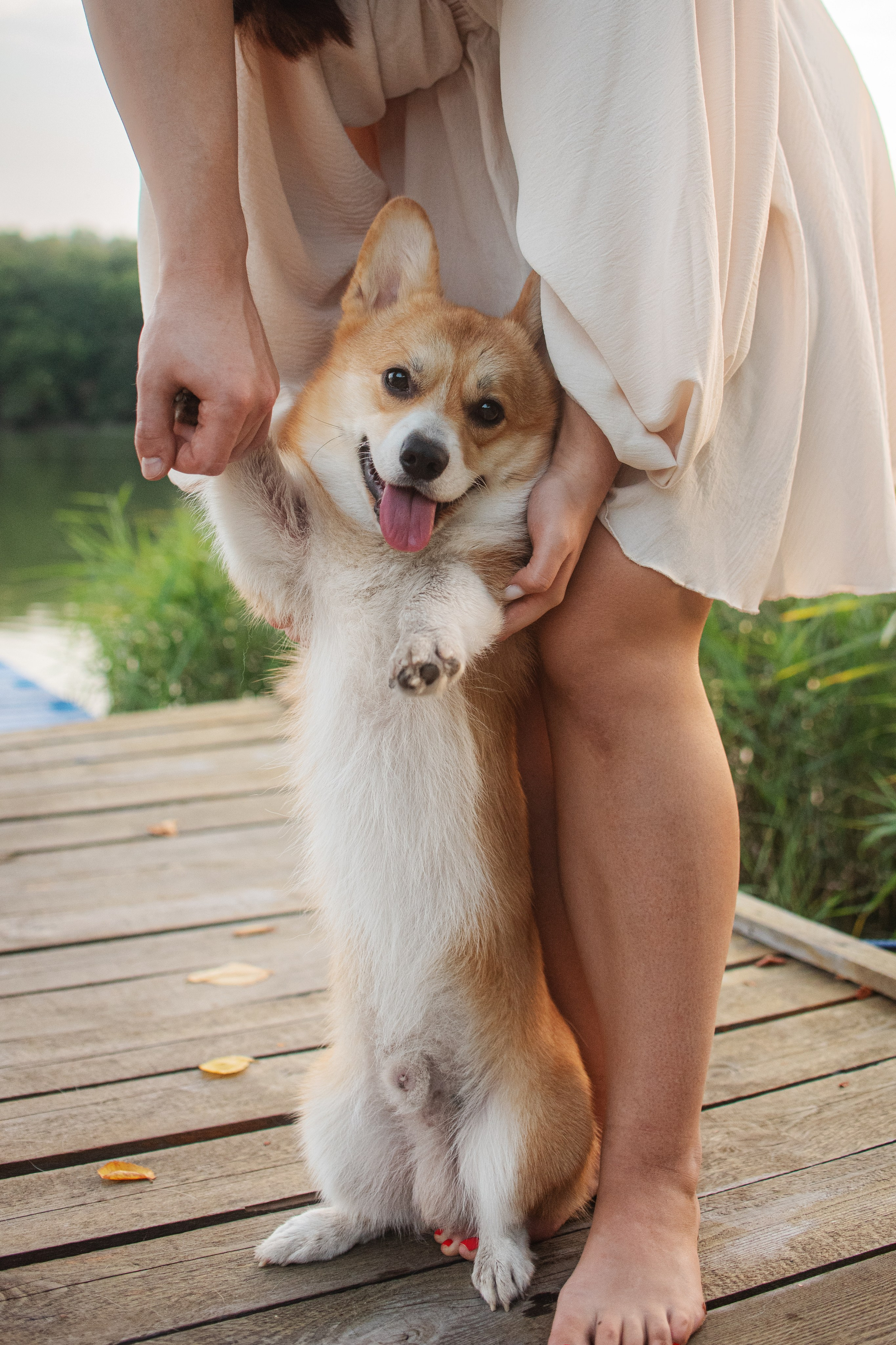 Саша, Оксана и Барни — 25.08.2024. Фотограф — Анималист | Анна Абрамова
