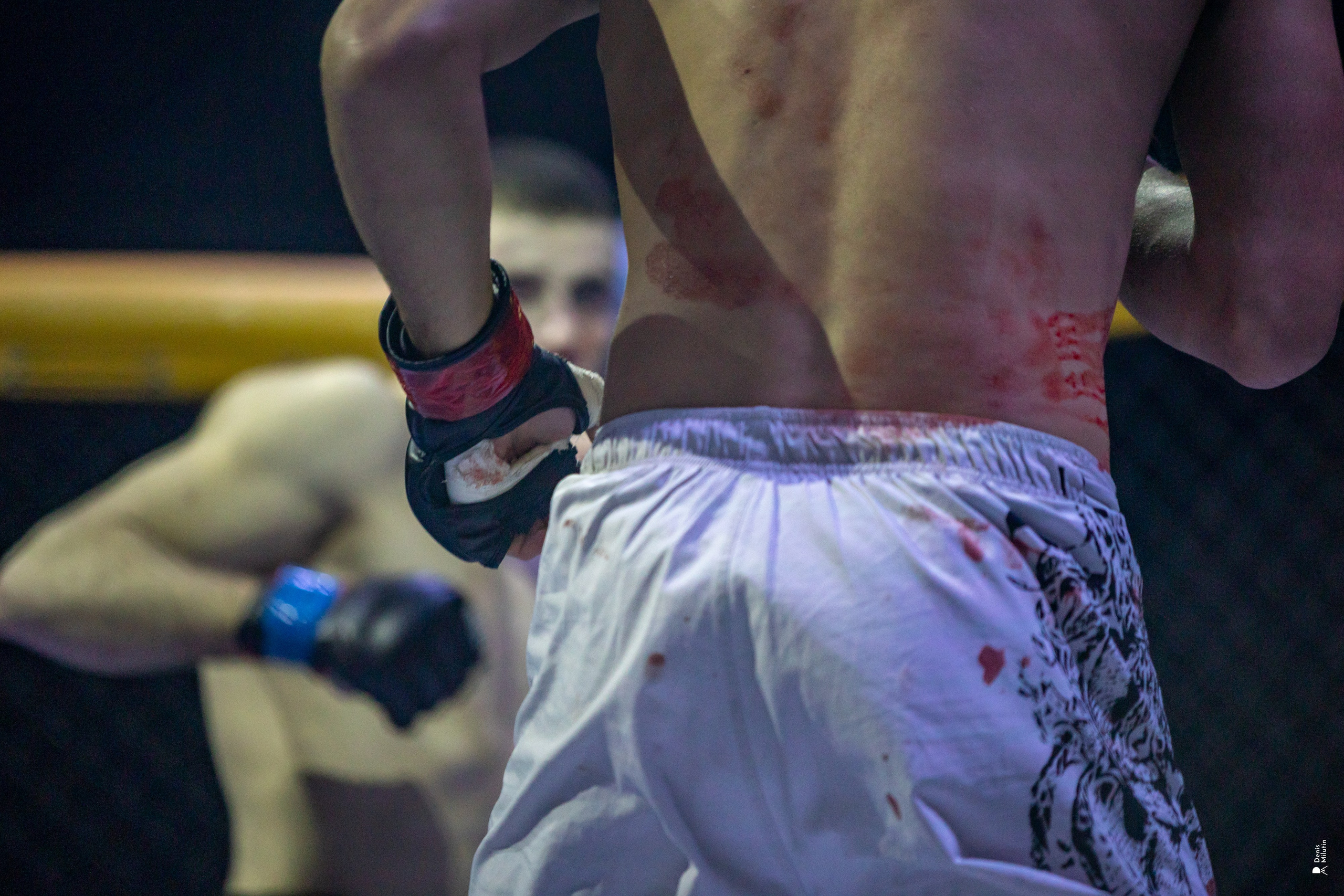 Бои в клетке «Северный Воин». Портретный фотограф Денис Милютин