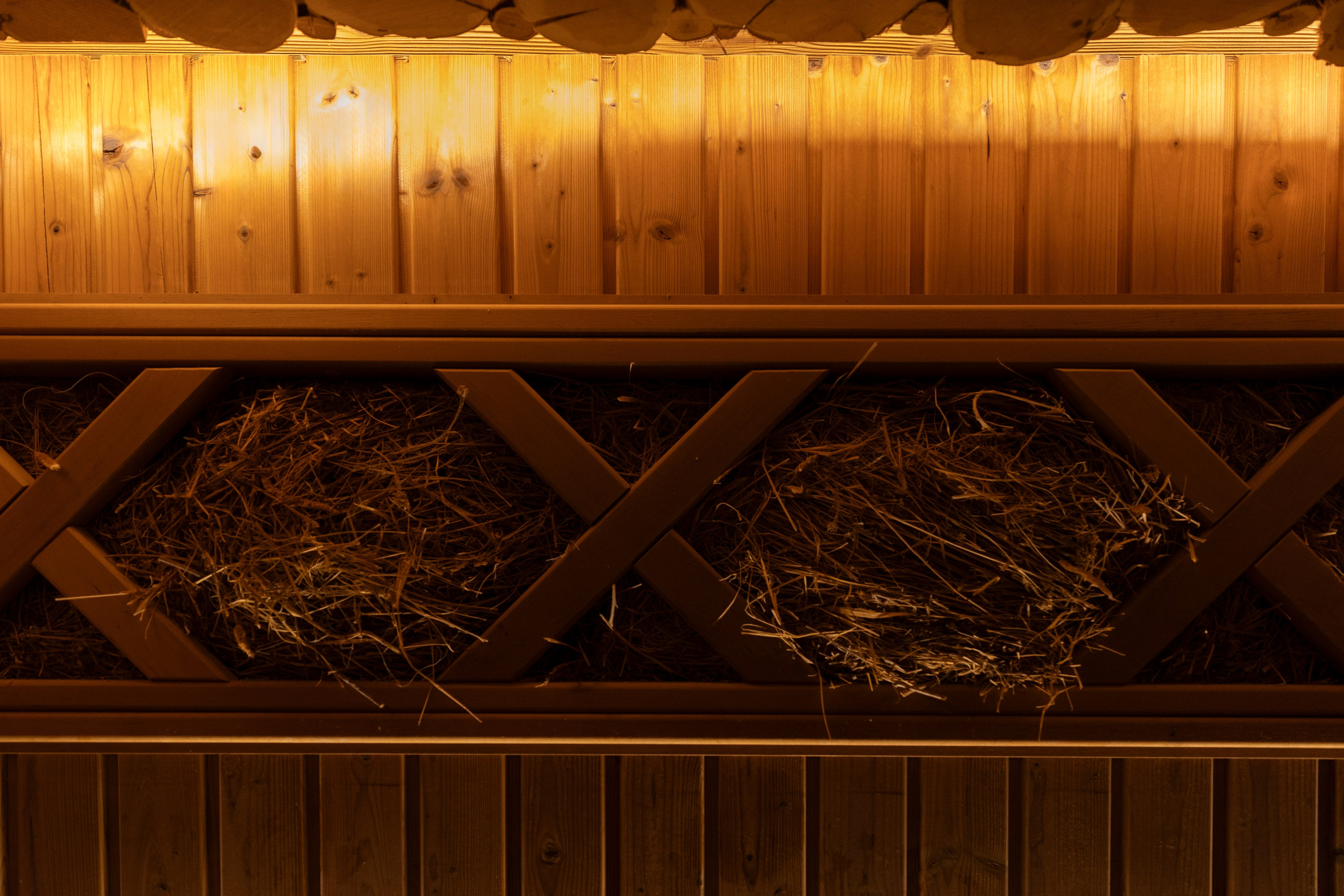 Пляж 33 spa. Фотограф Эрика Парфёнова