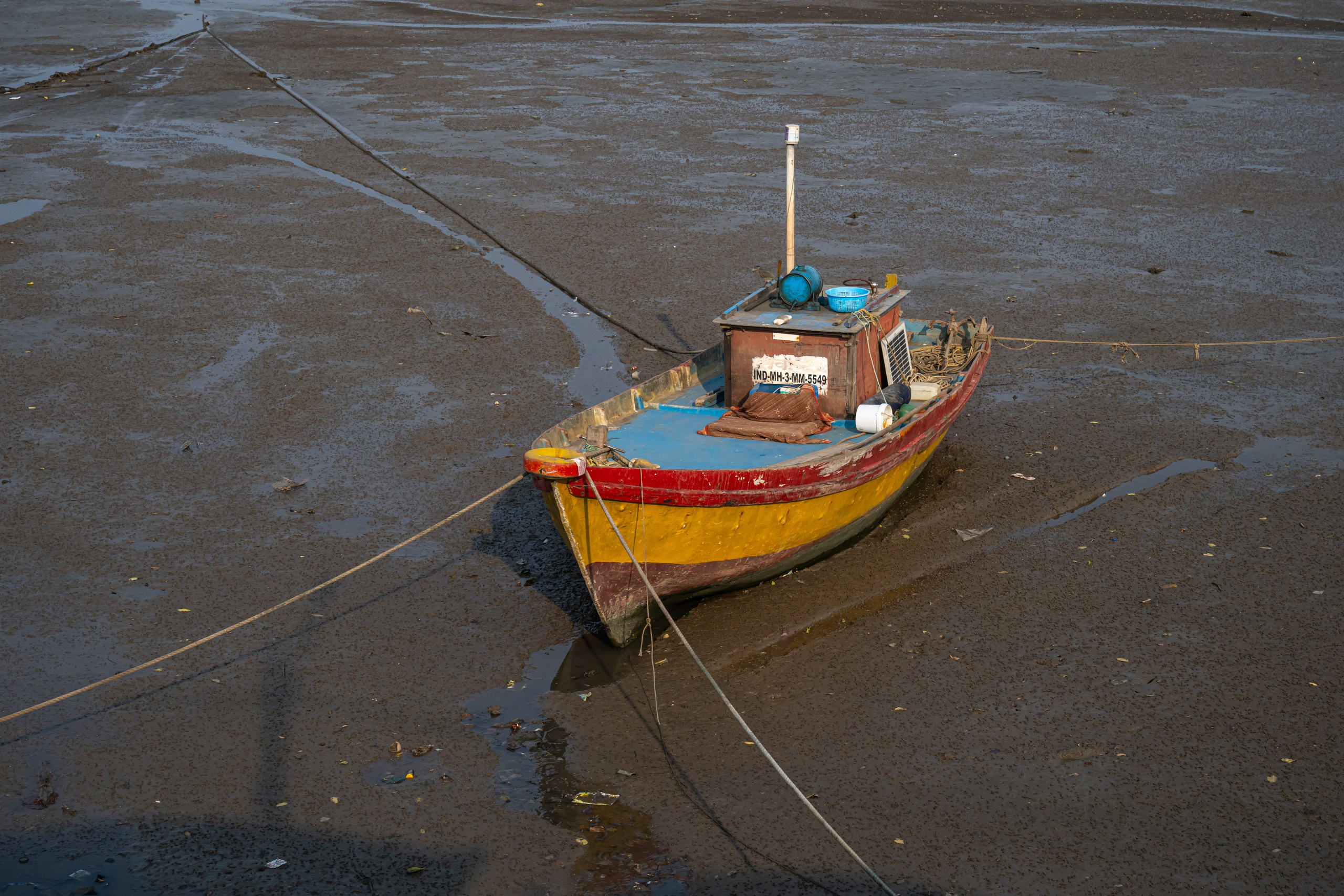 India 2024-2025. Dimitri Bakhtadze photographer