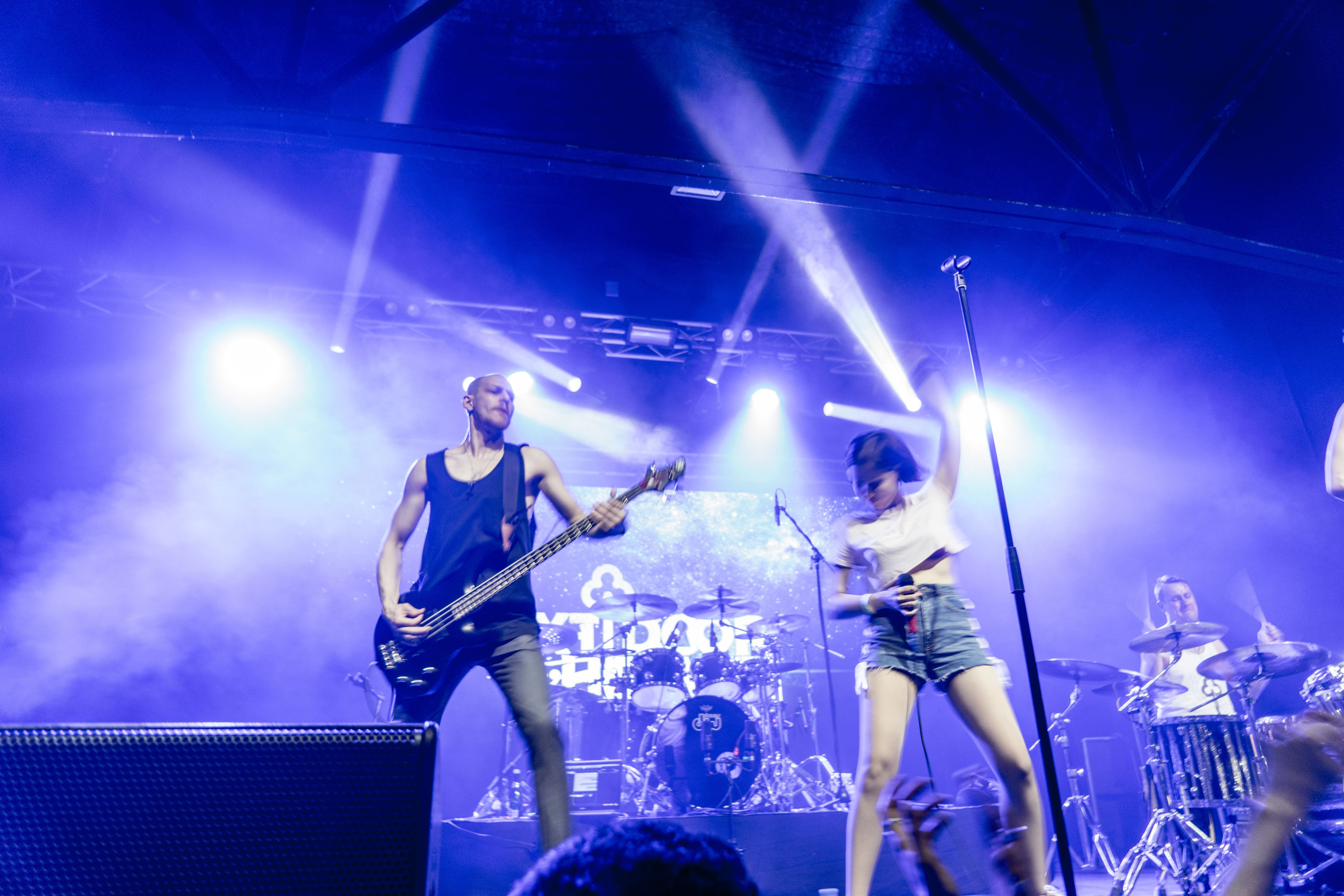 NextDoorHaven. Твой фотограф — Полосатый кот