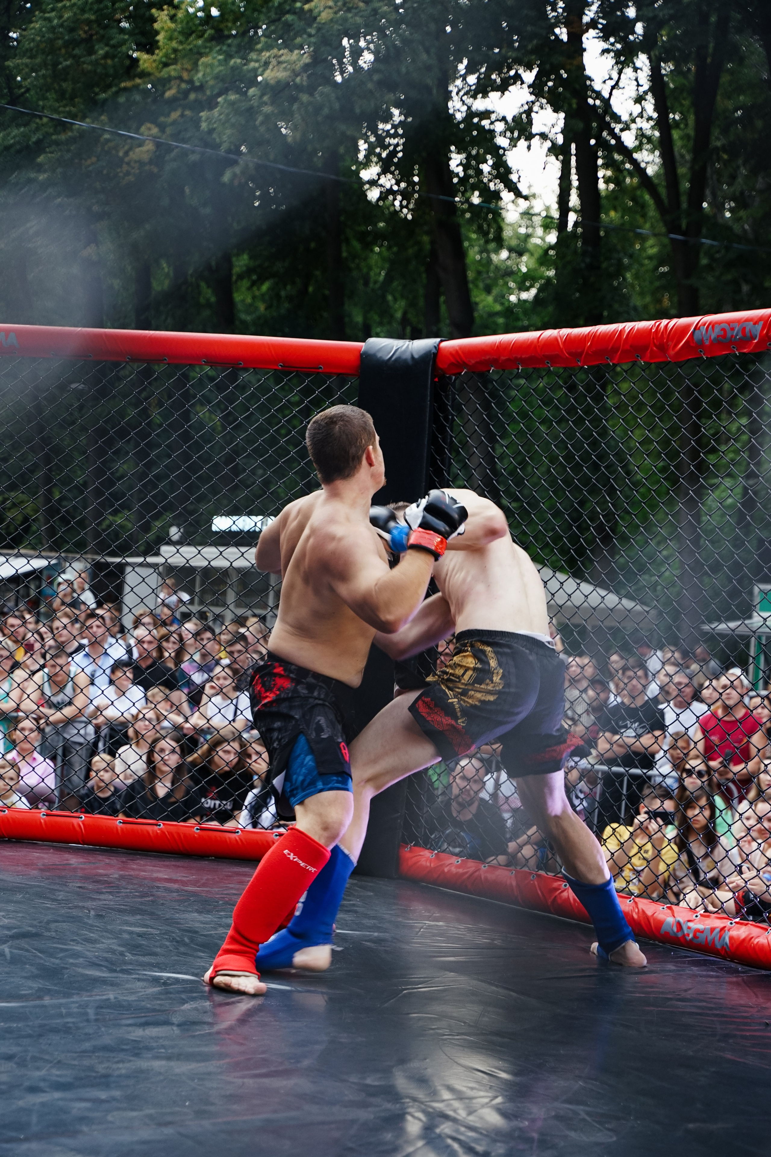 Вечер боев в ЦПКиО. Фотограф Надежда Погребняк | Рязань | Москва