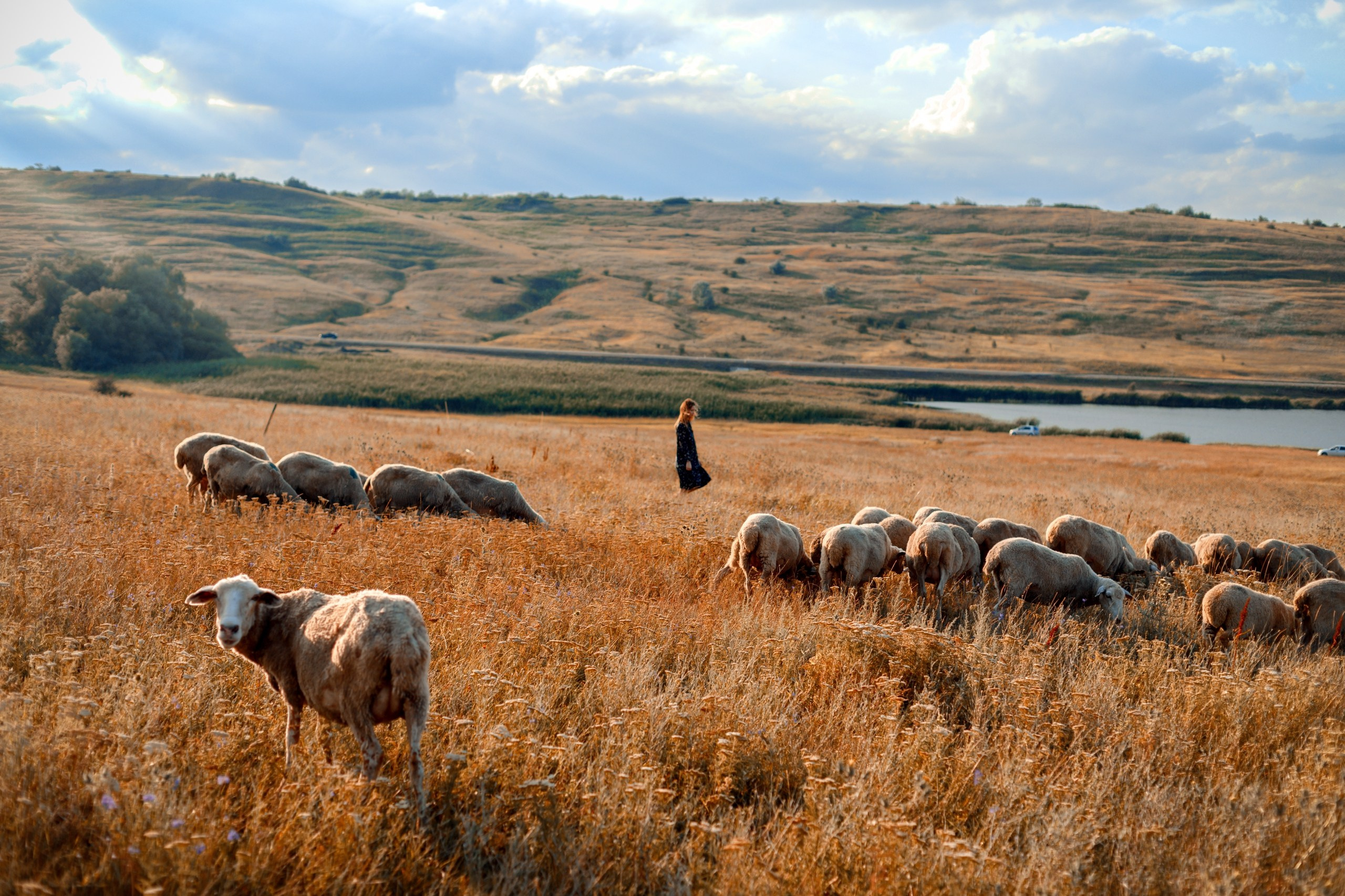 Екатерина. Фотограф Михеев Игорь в Ставрополе