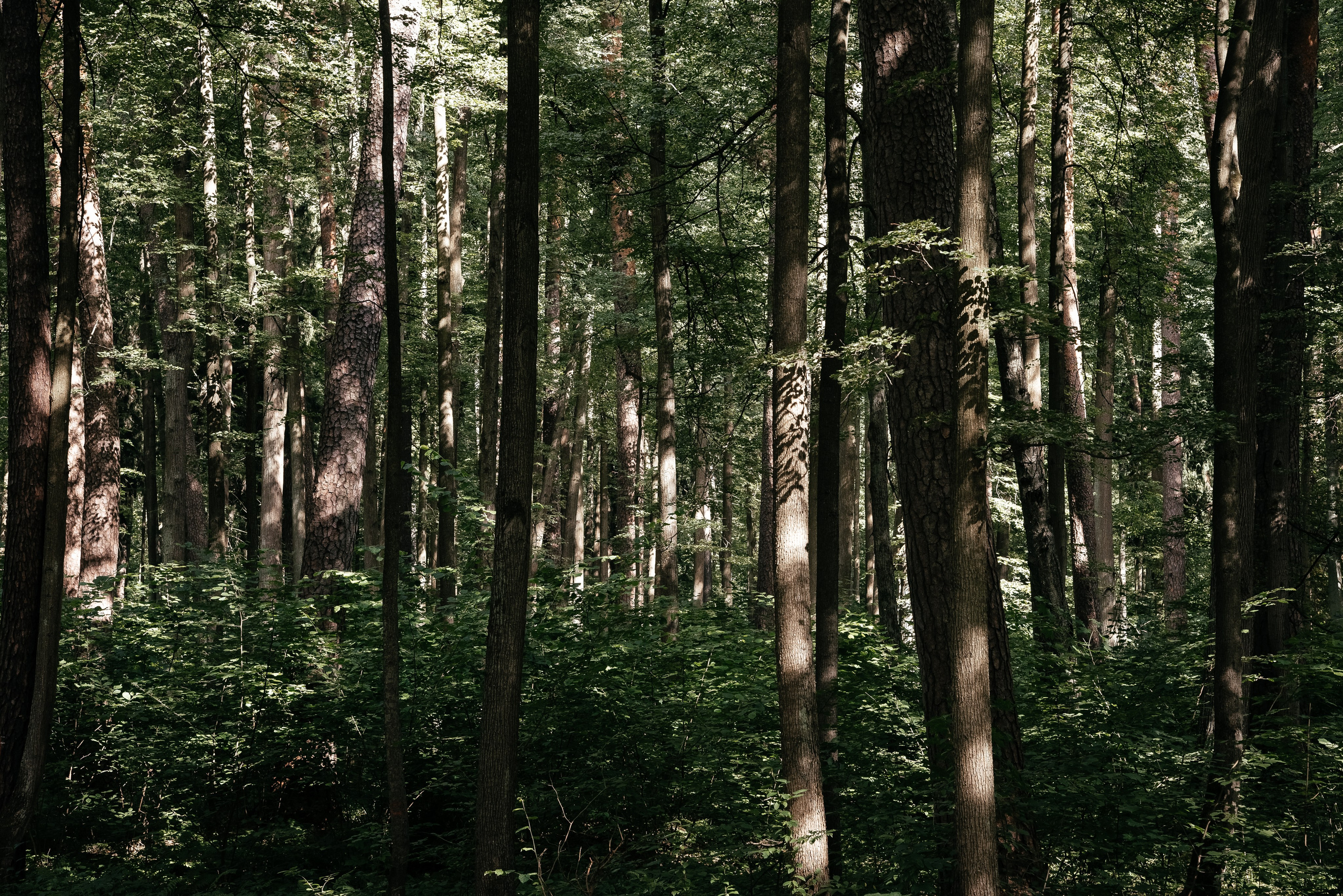 Творческие проекты. Портретный и семейный фотограф в Геленджике Таня Ходова