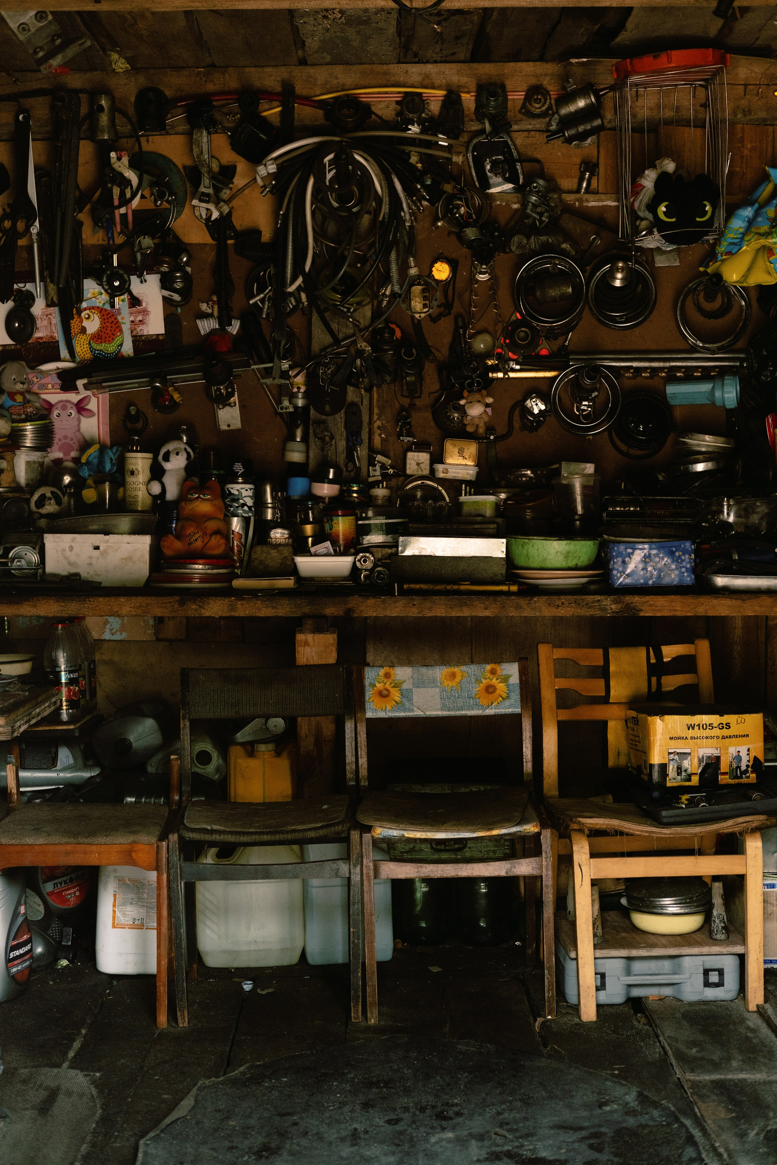 Карелия и Соловецкие острова. Обо мне