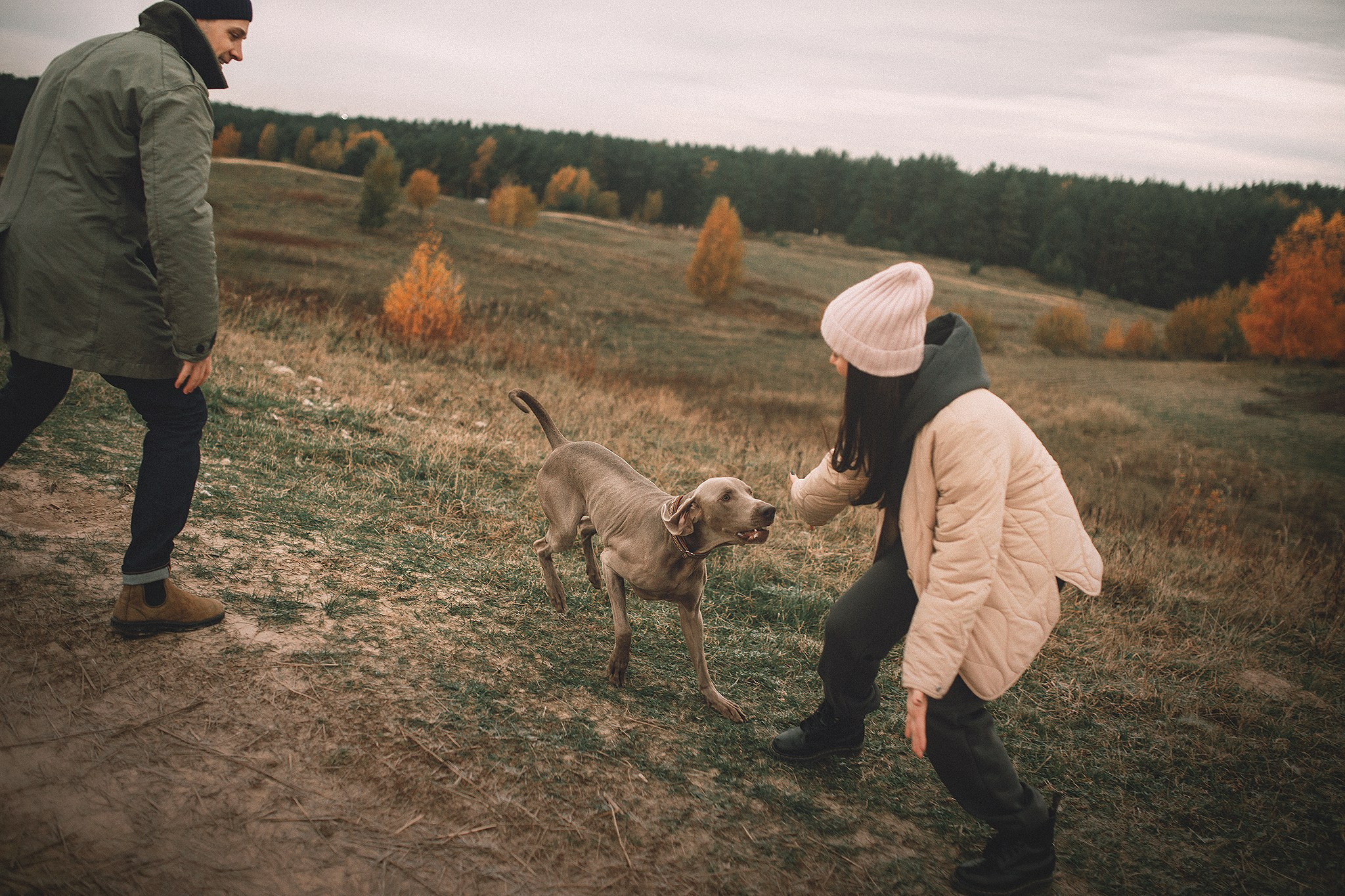 Элай и ребята. Фотограф-анималист • love-story • Санкт-Петербург
