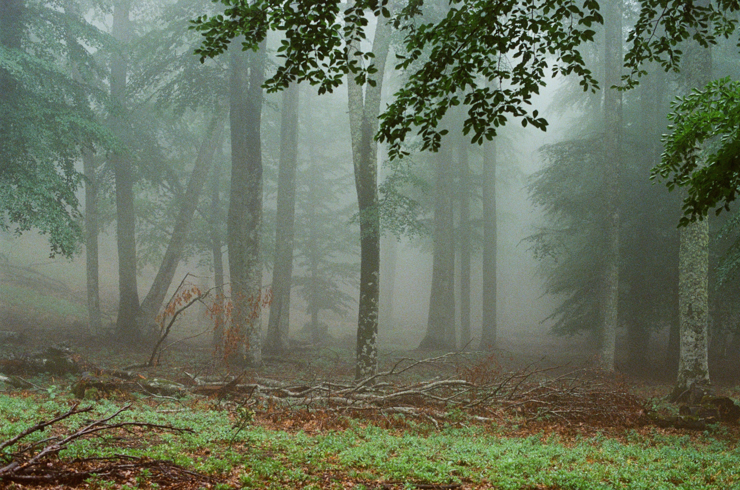 Dig it // ukraine, crimea III. EVER EXPOSED